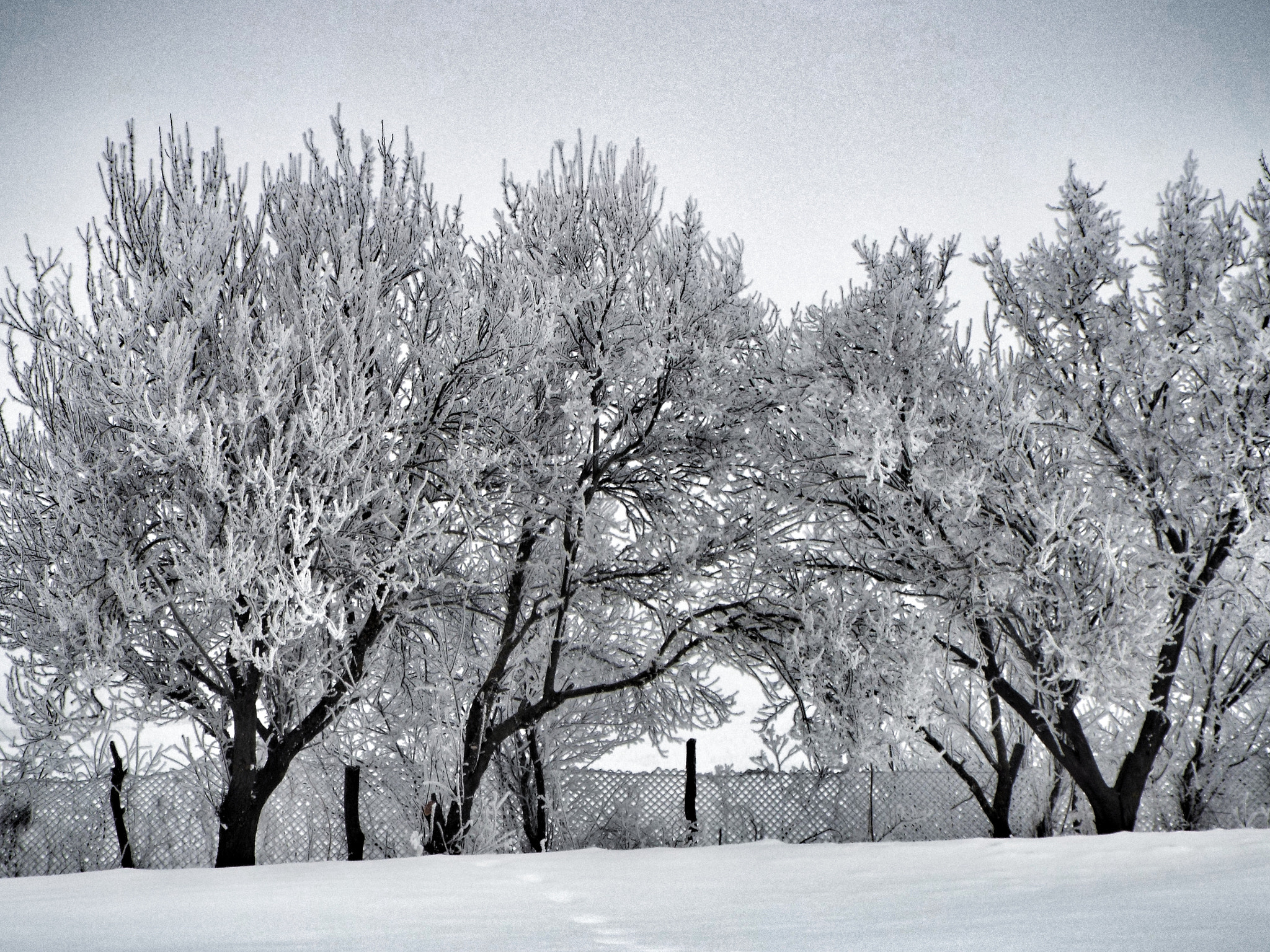 Fujifilm FinePix S9200 S9250 S9150 sample photo. Winter photography