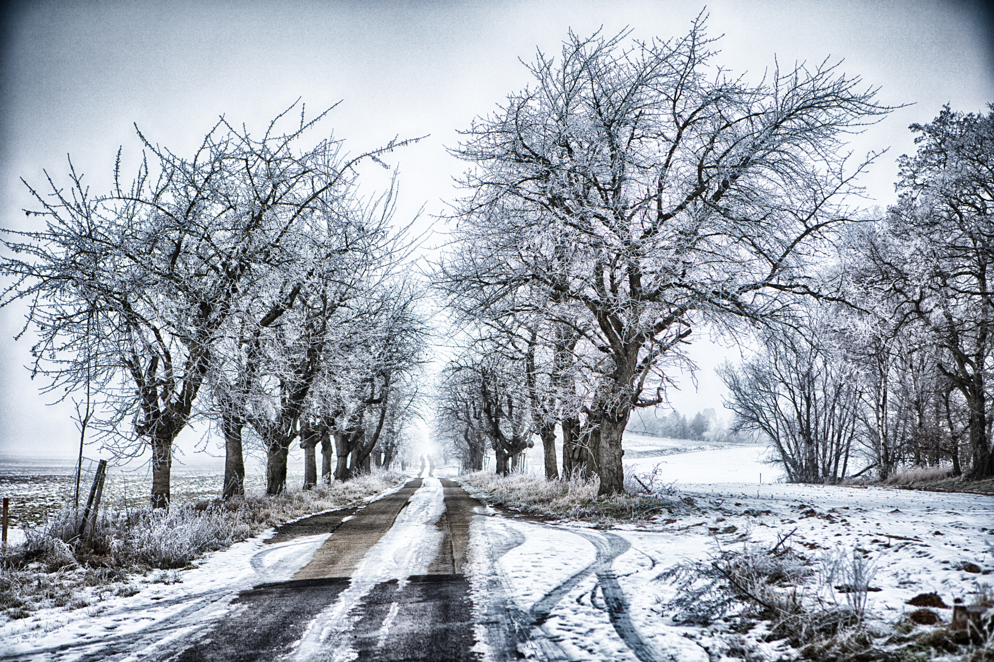 Canon EF 24-70mm F2.8L USM sample photo. Noch ist winter, genießt es!!! photography