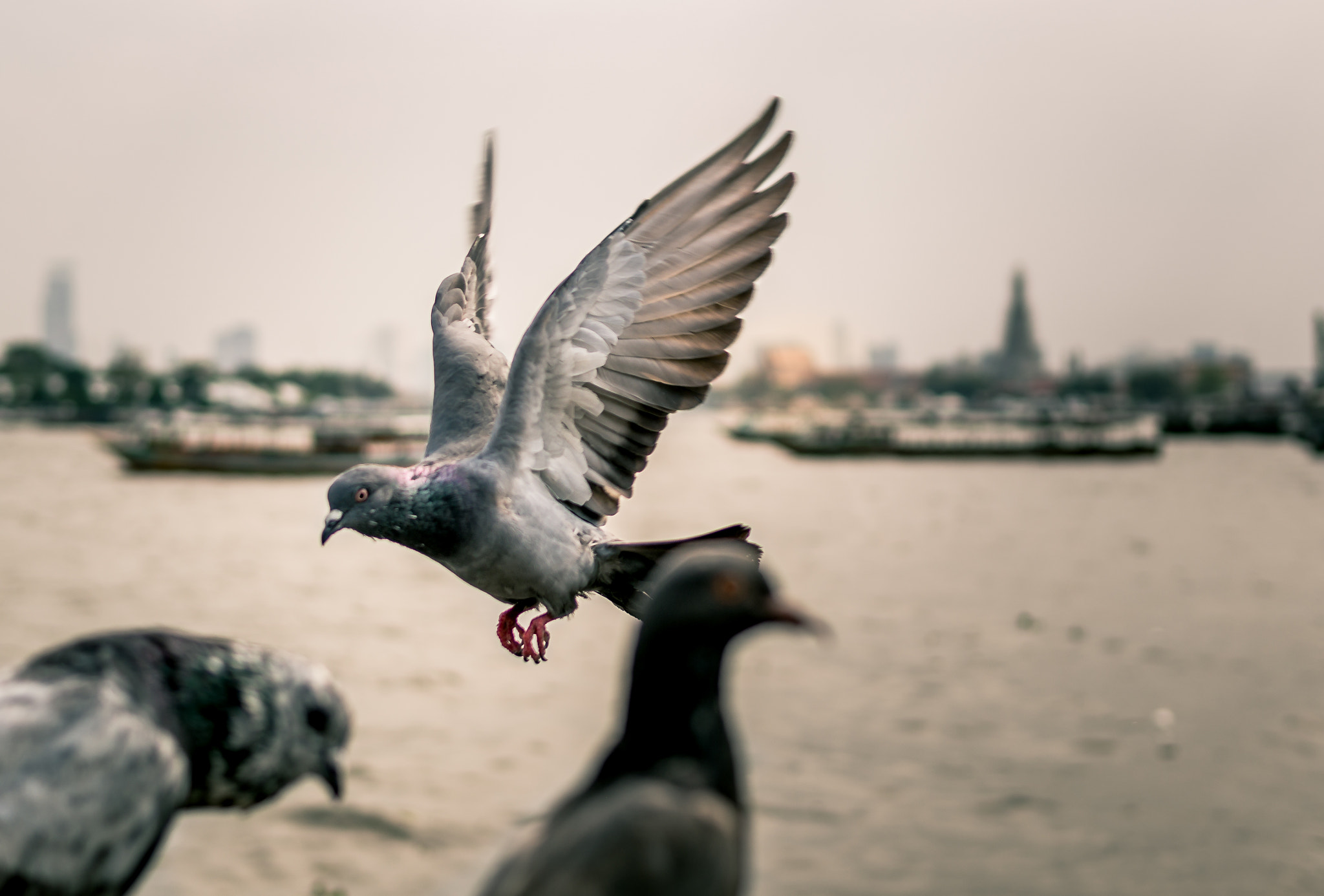Sigma 30mm F1.4 DC DN | C sample photo. Some of luck photography