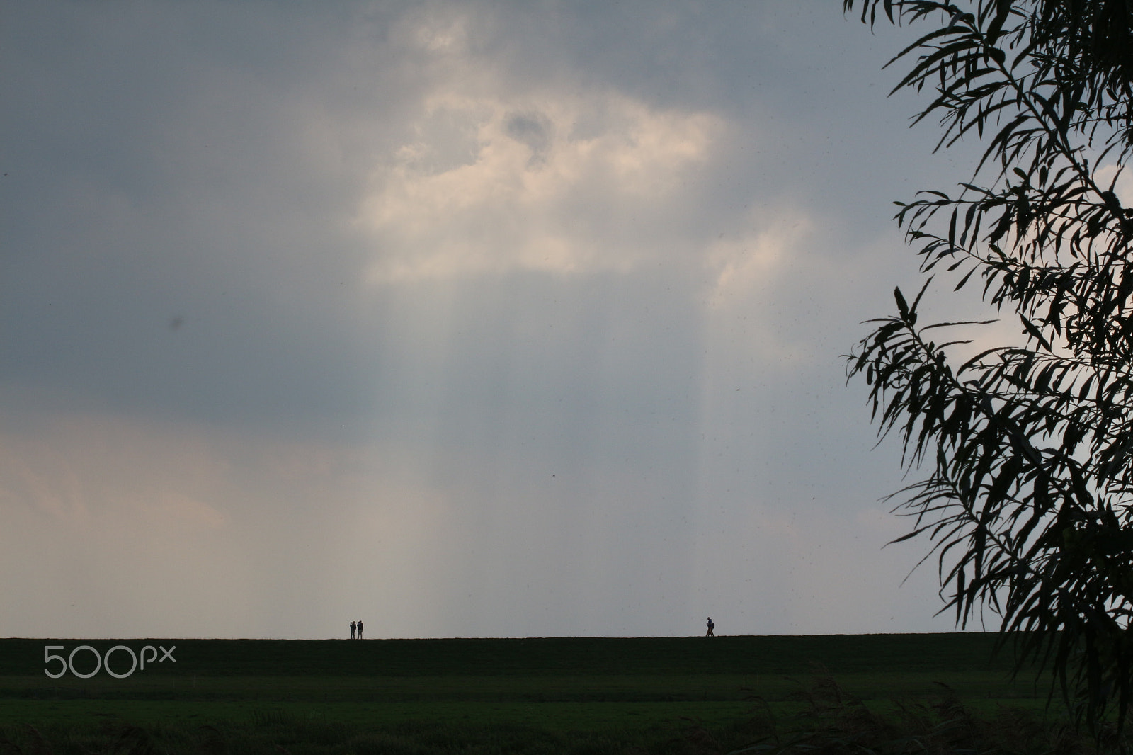 Canon EF 75-300mm F4.0-5.6 IS USM sample photo. Shine photography