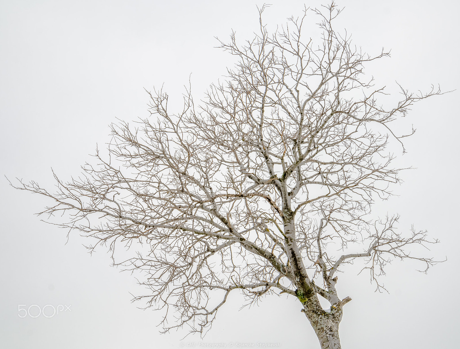 Samyang 14mm F2.8 ED AS IF UMC sample photo. Introvert photography