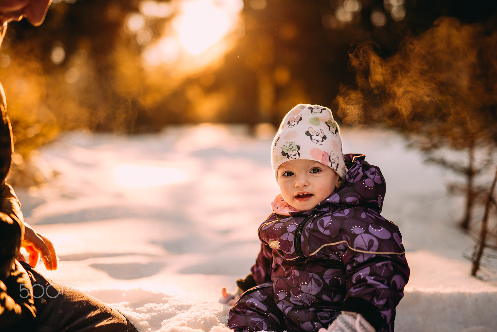 Nikon D610 + Sigma 50mm F1.4 DG HSM Art sample photo. Enjoy the winter photography