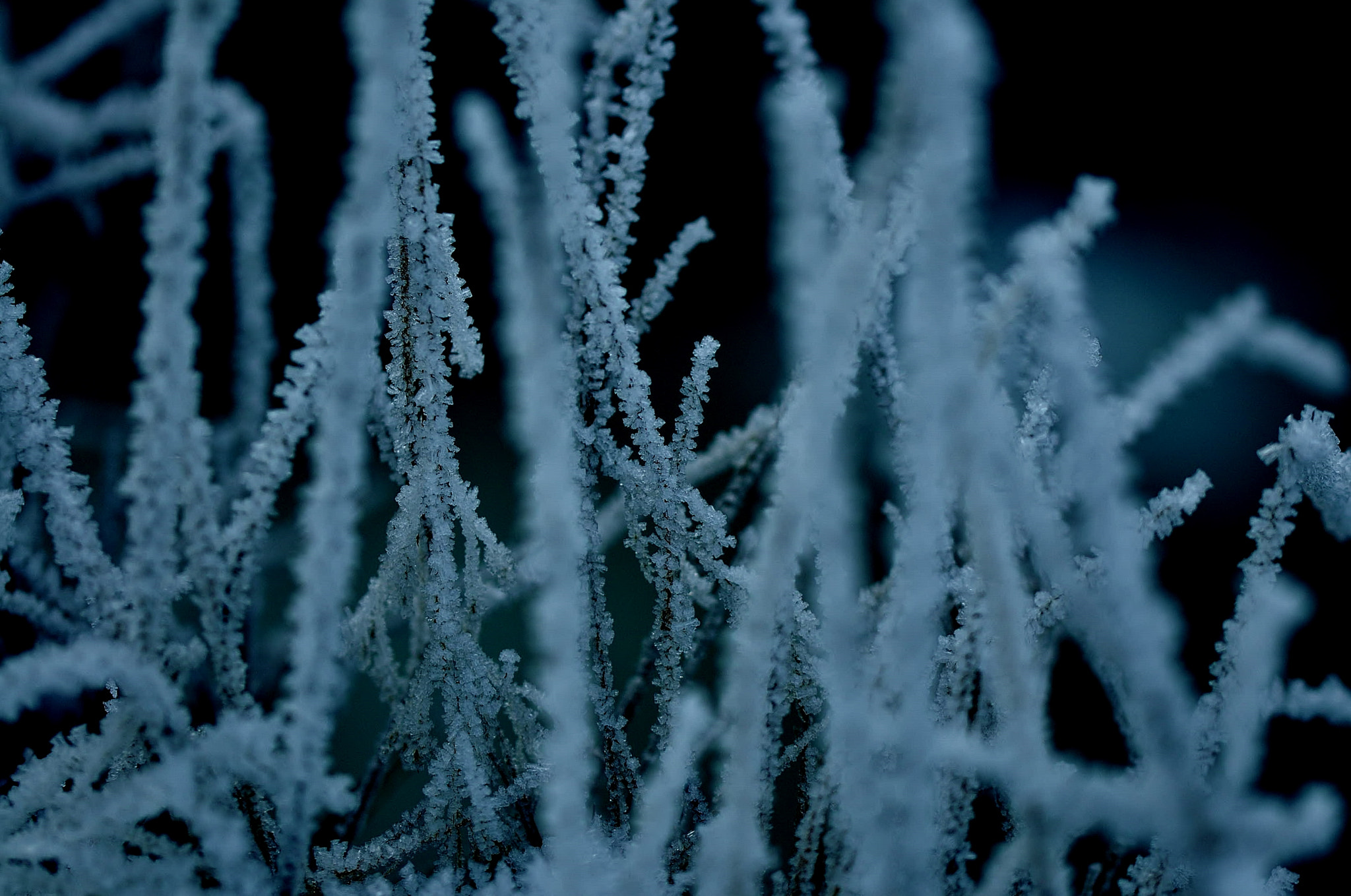 Nikon D300 sample photo. Unter null ! photography
