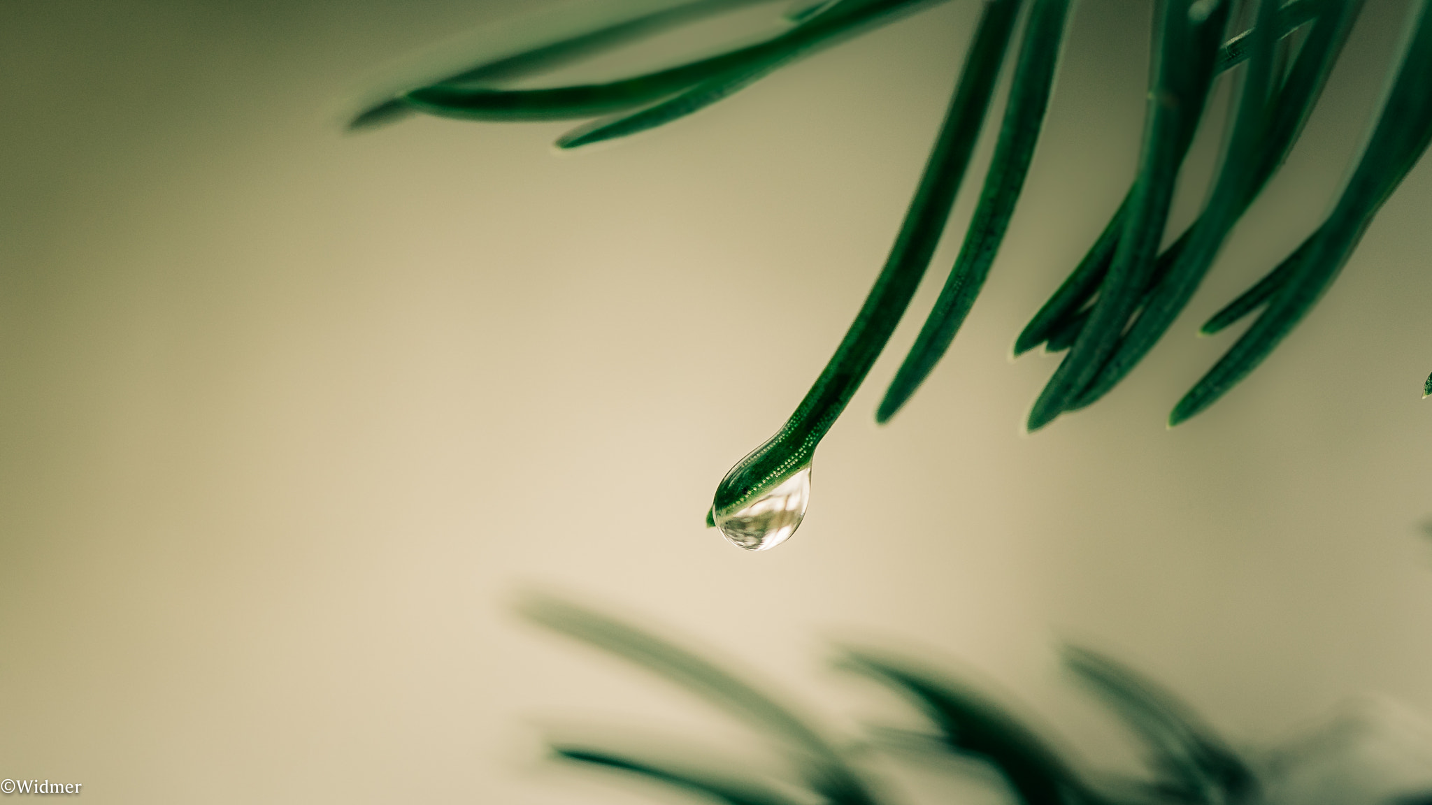Canon EF 100mm F2.8L Macro IS USM sample photo. Drop of water ii photography