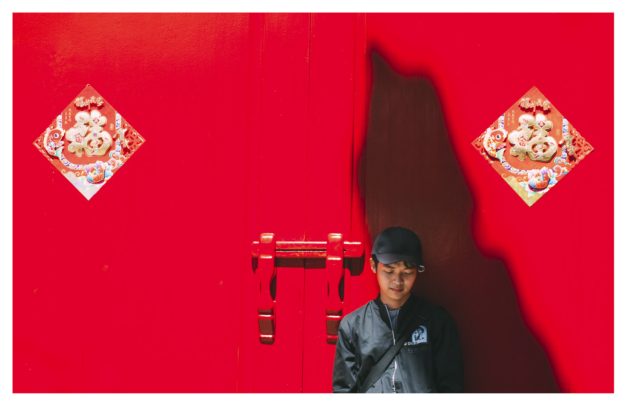 Canon EOS 700D (EOS Rebel T5i / EOS Kiss X7i) + Canon EF 40mm F2.8 STM sample photo. Red-black photography