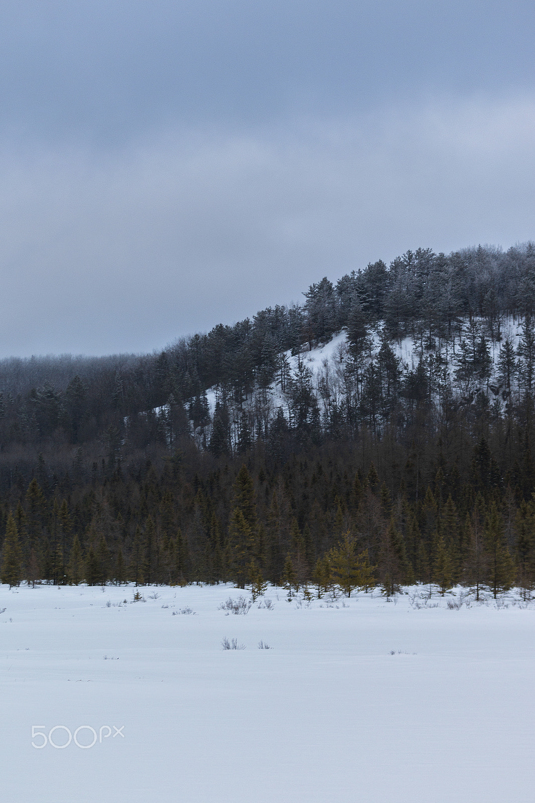 Canon EF 75-300mm f/4-5.6 USM sample photo. Algonquin ridge photography