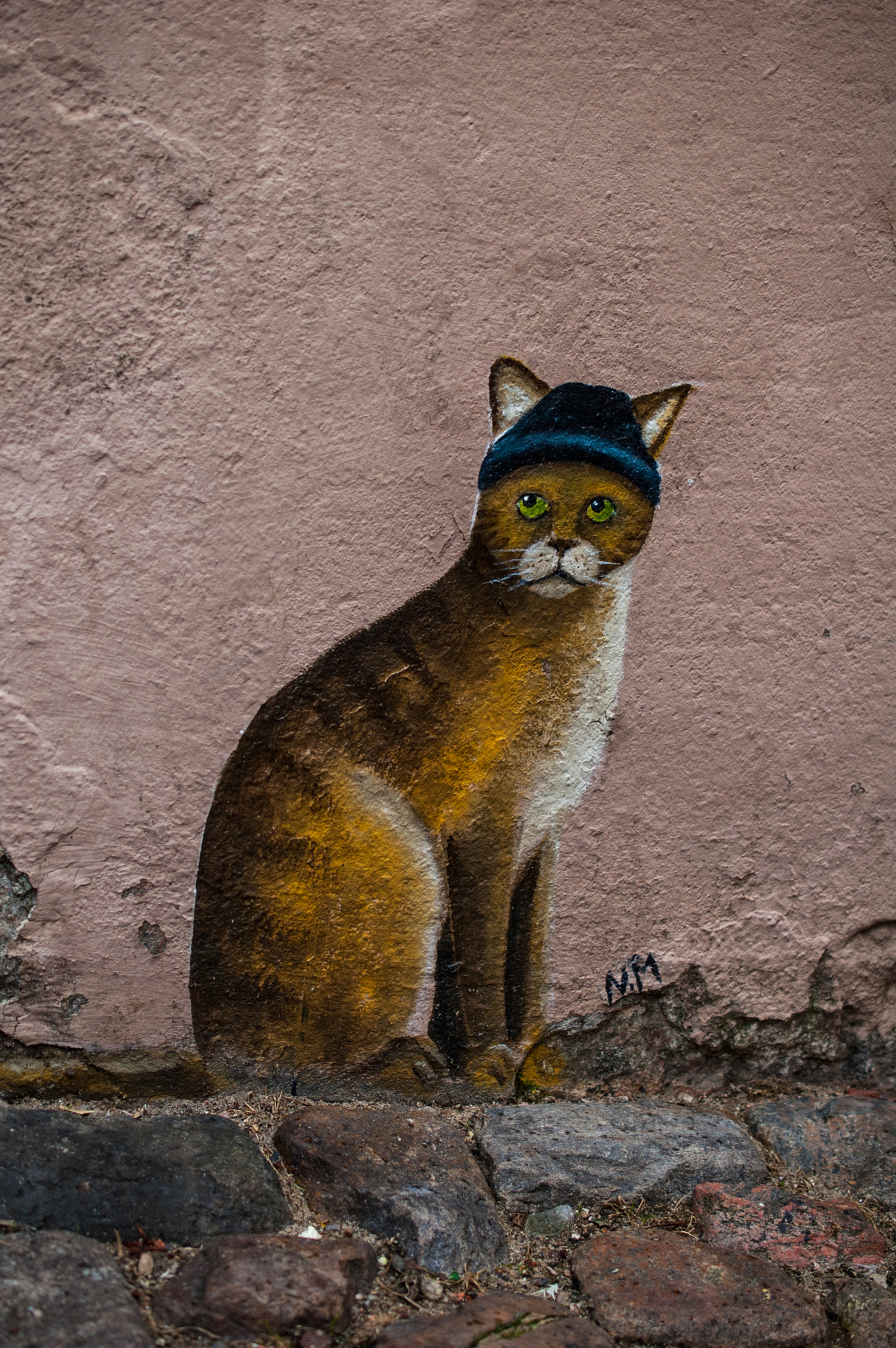 Nikon D50 sample photo. Alley cat photography
