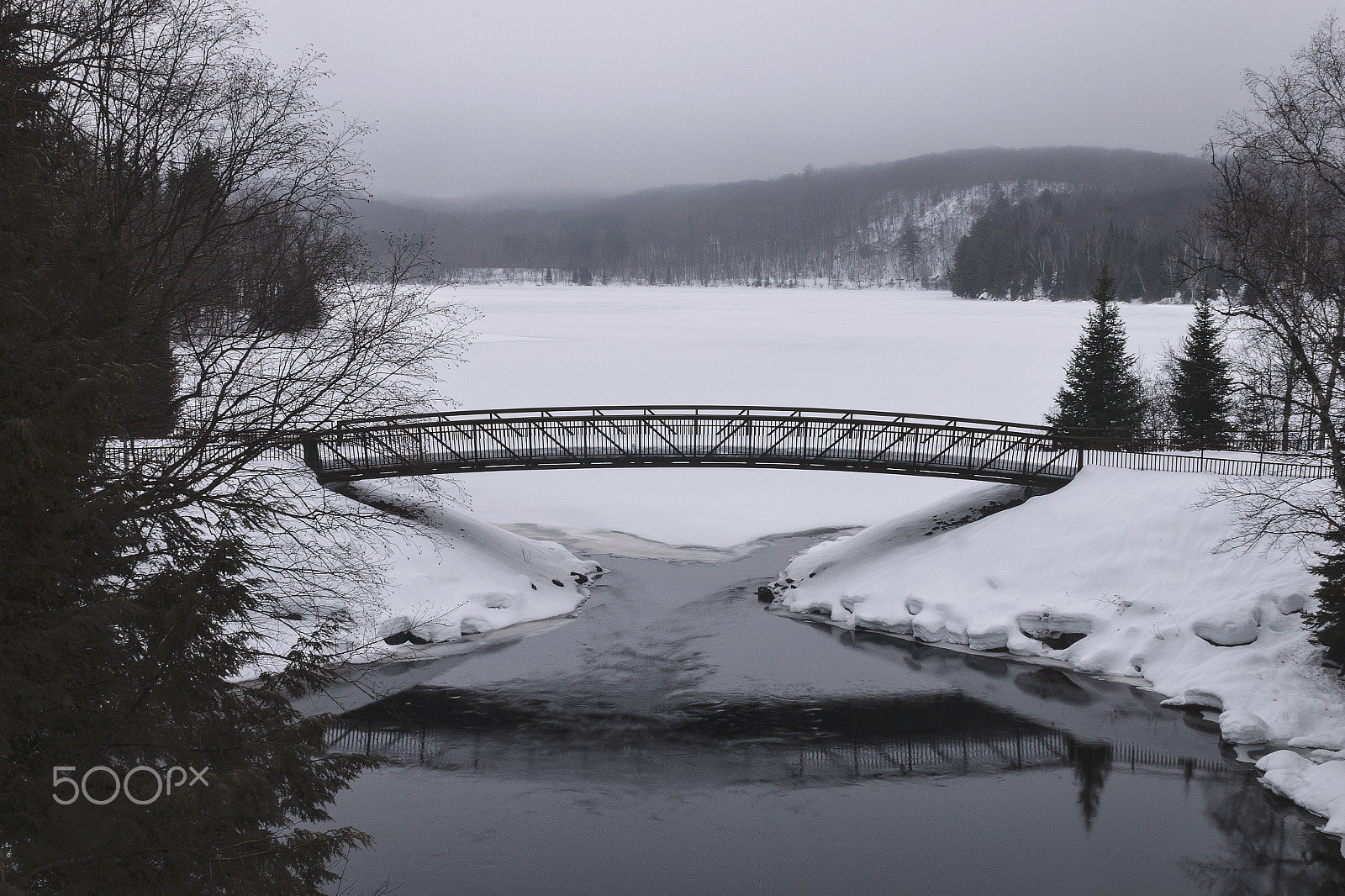Canon EF-S 18-55mm F3.5-5.6 IS sample photo. Bridge photography