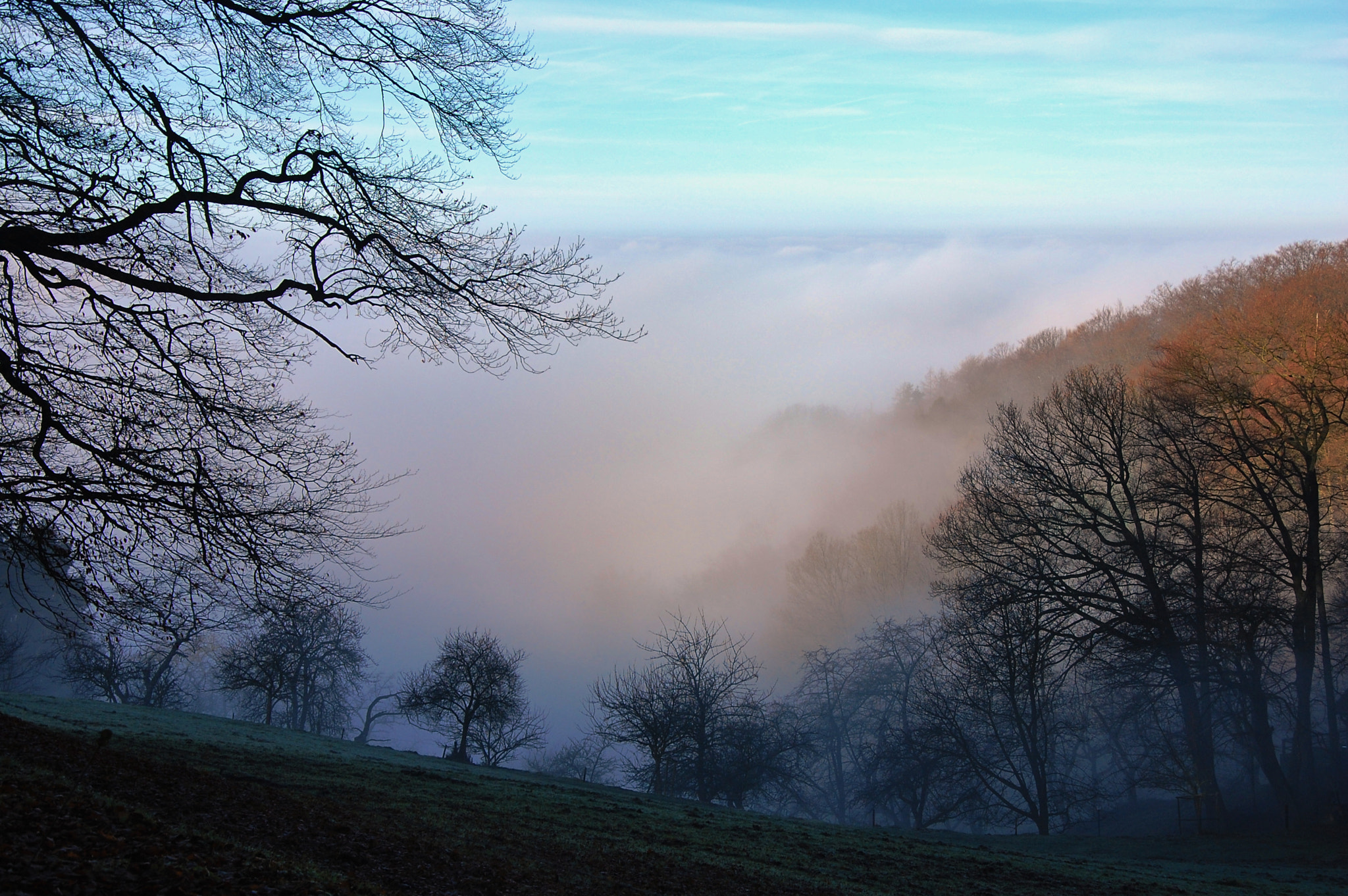 Nikon D40 sample photo. Misty day photography