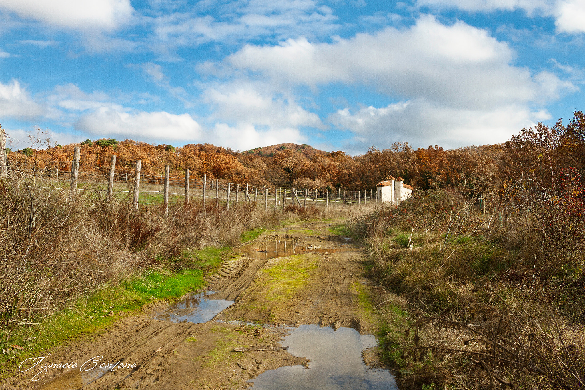 Canon EF-S 24mm F2.8 STM sample photo. Reflejos photography