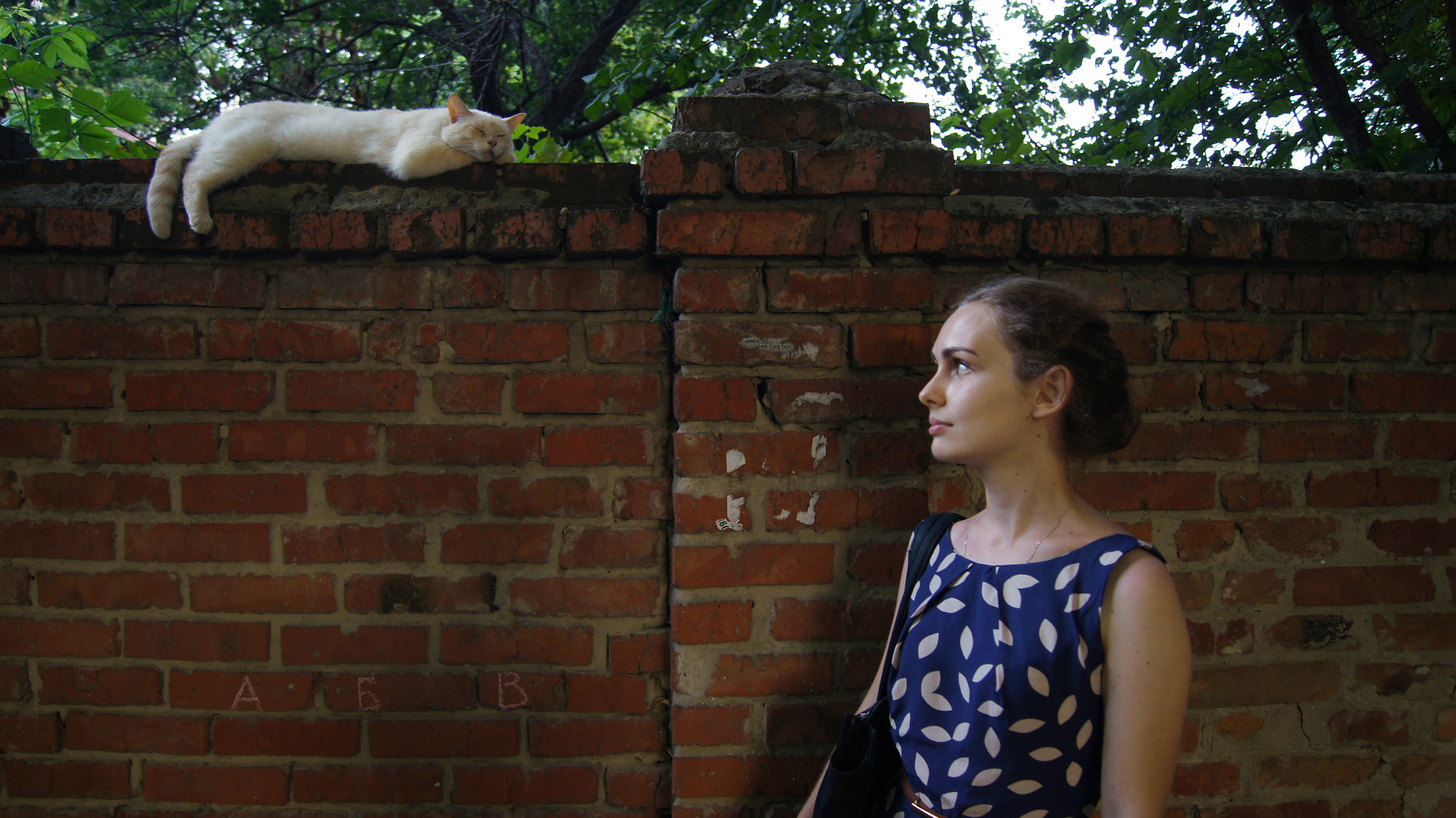 Sony SLT-A55 (SLT-A55V) sample photo. Cats photography