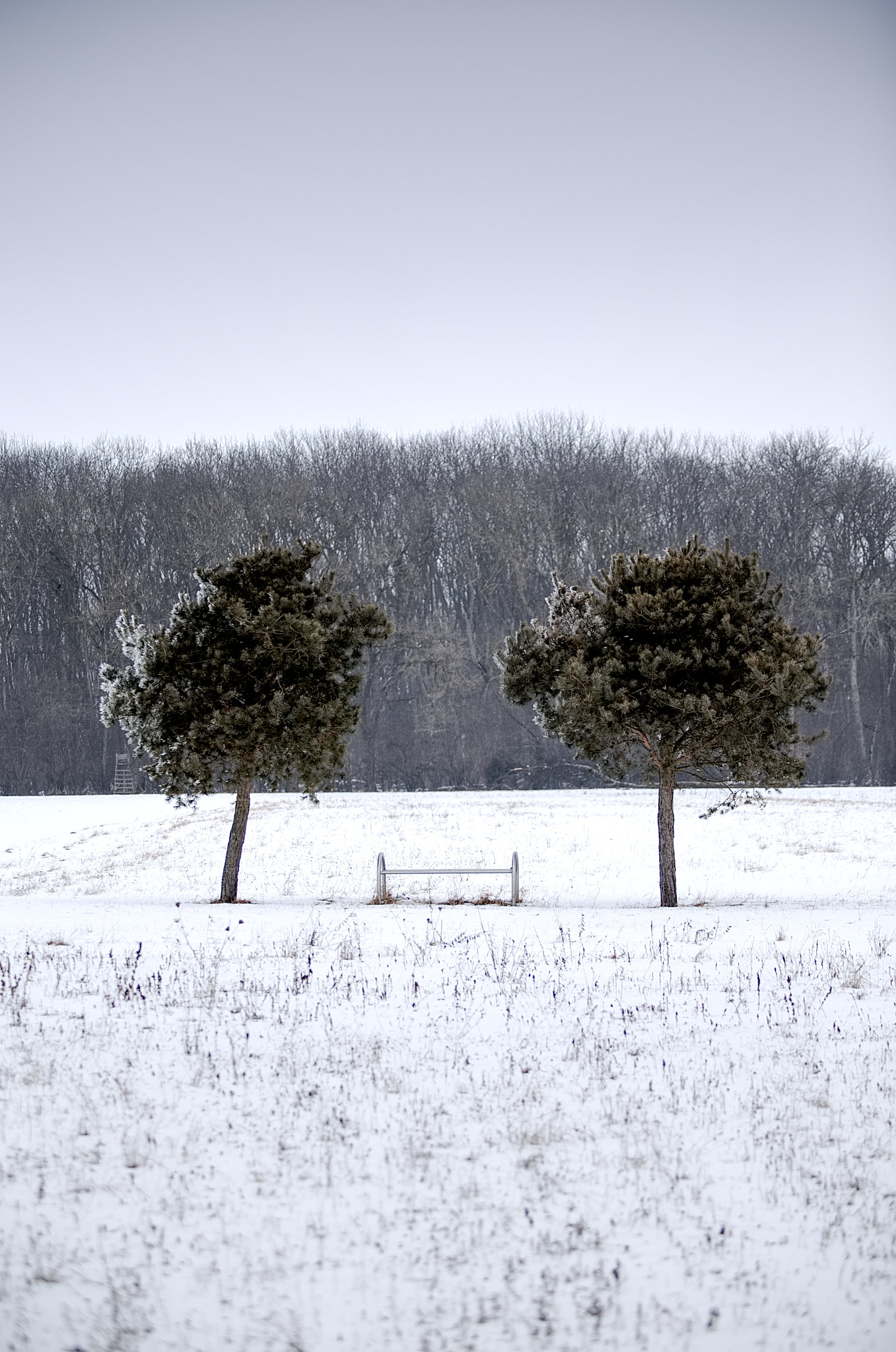 Canon EOS 6D + Canon EF 80-200mm f/2.8L sample photo. Bench and trees photography