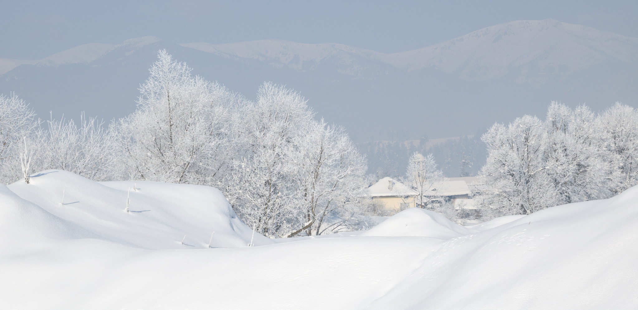 Canon EOS 760D (EOS Rebel T6s / EOS 8000D) + Canon EF 24-105mm F4L IS USM sample photo. Fantastic winter landscape. trees covered with hoarfrost and sno photography