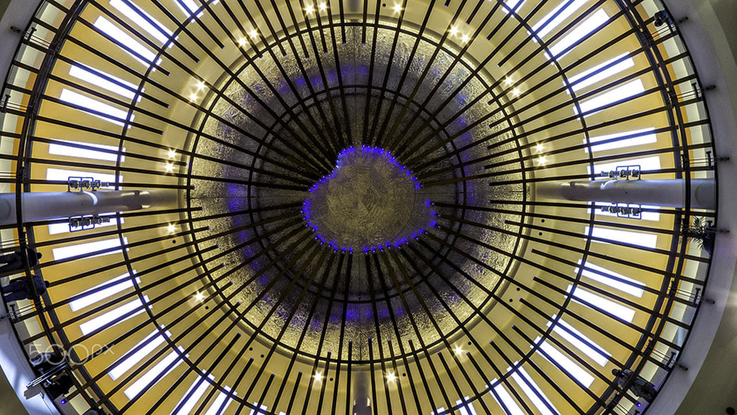 Leica D-LUX 5 sample photo. Roof detail photography