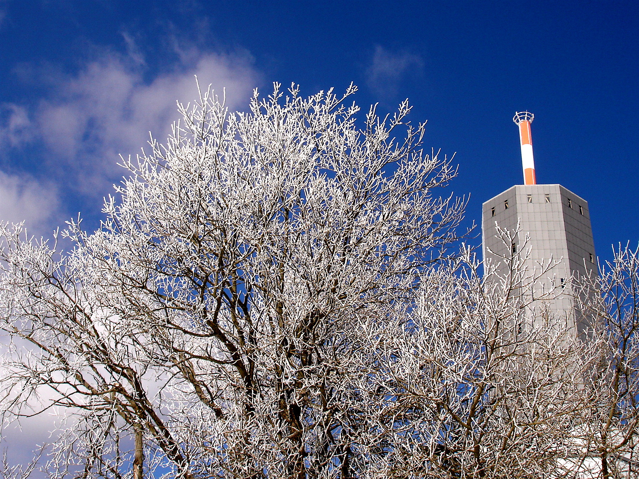 Sony DSC-W1 sample photo. Ice cold photography