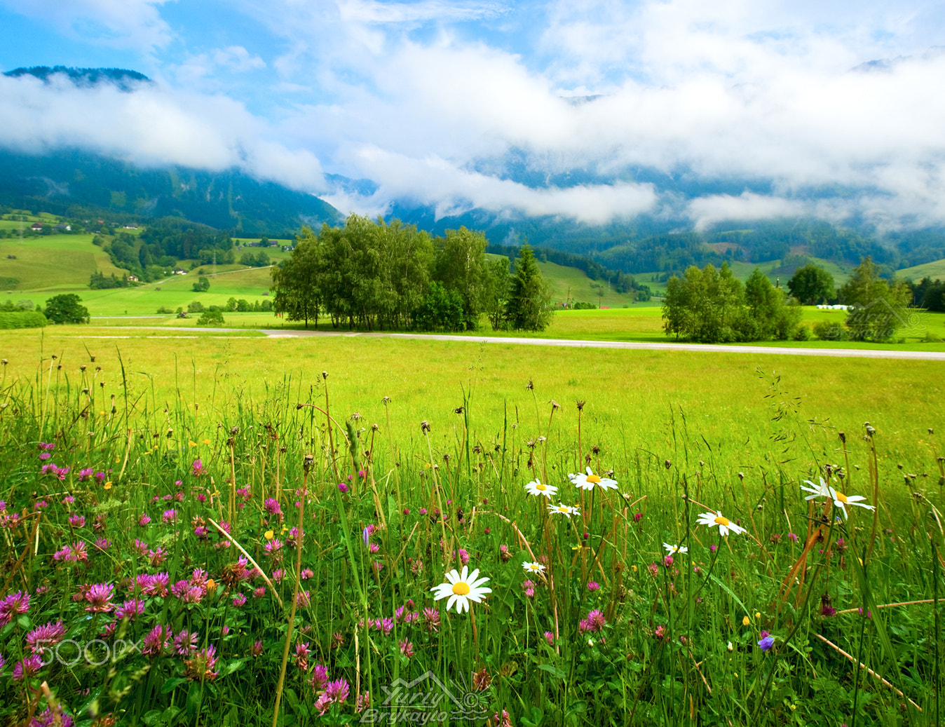 Canon EOS 5D + Canon EF 16-35mm F2.8L II USM sample photo. Alps meadow summer view photography