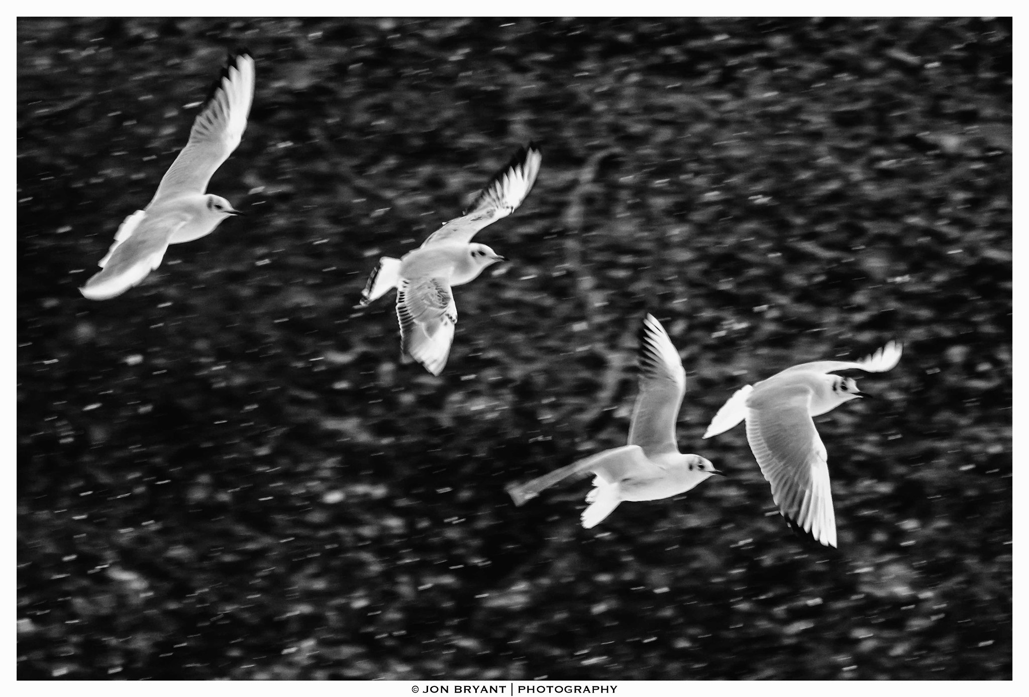 Panasonic Lumix DMC-GH4 + LEICA DG 100-400/F4.0-6.3 sample photo. Wings in the snow photography