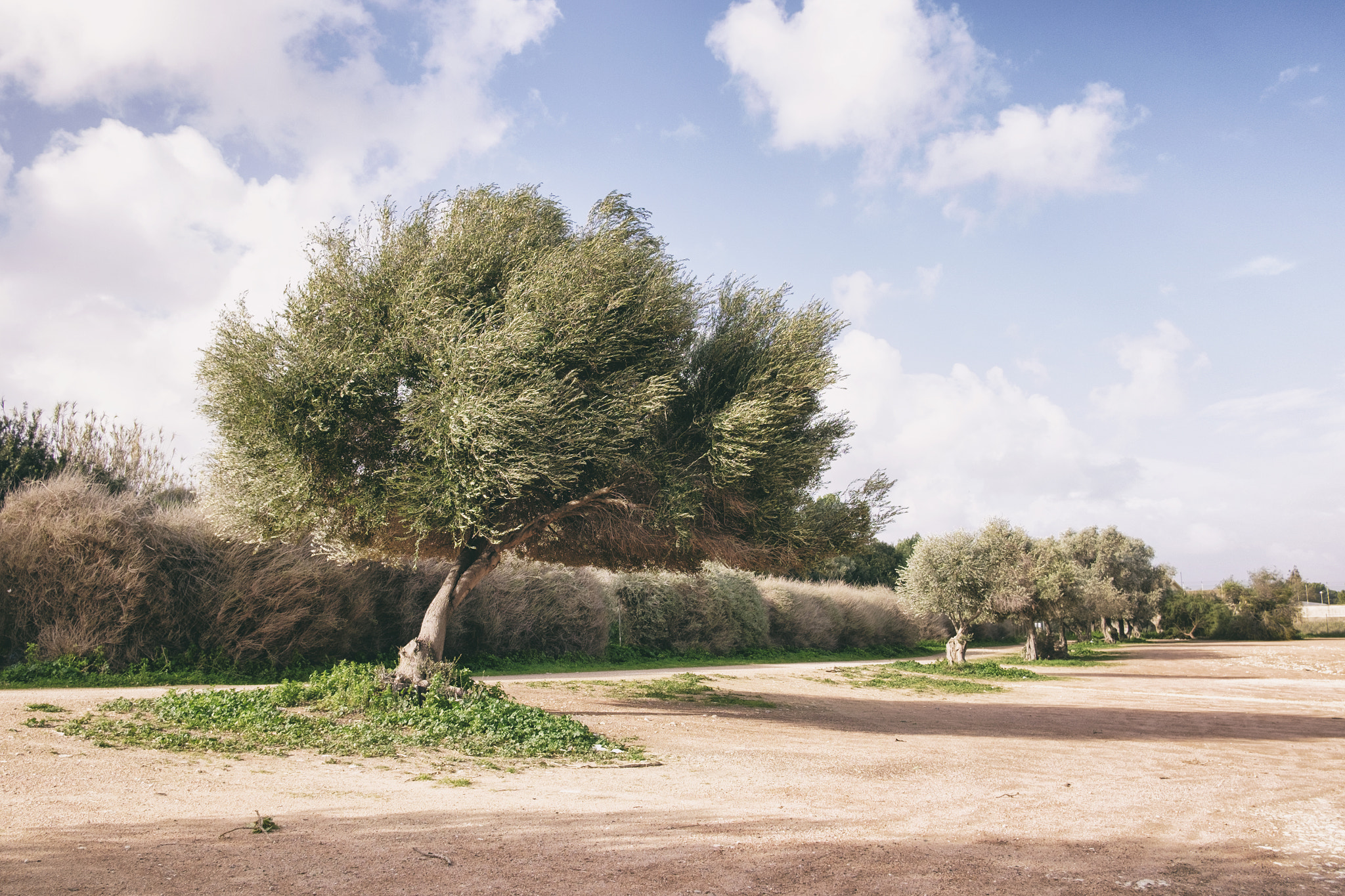 Fujifilm X-T1 + Fujifilm XF 18mm F2 R sample photo. Sirocco photography
