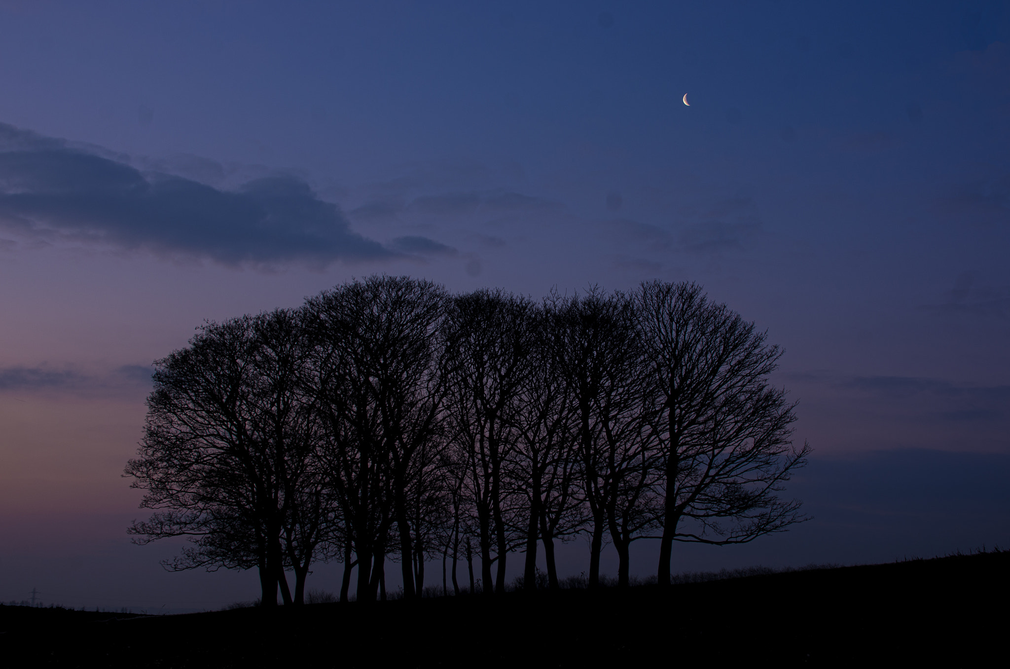 Pentax K-5 + Sigma 18-125mm F3.8-5.6 DC HSM sample photo. The moon is friend for the lonesome to talk to photography
