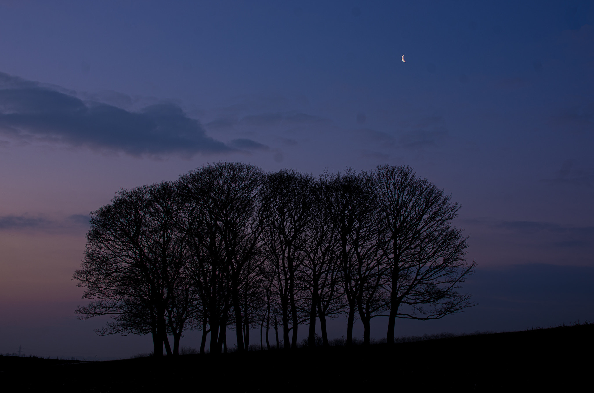 Pentax K-5 sample photo. The moon is friend for the lonesome to talk to photography