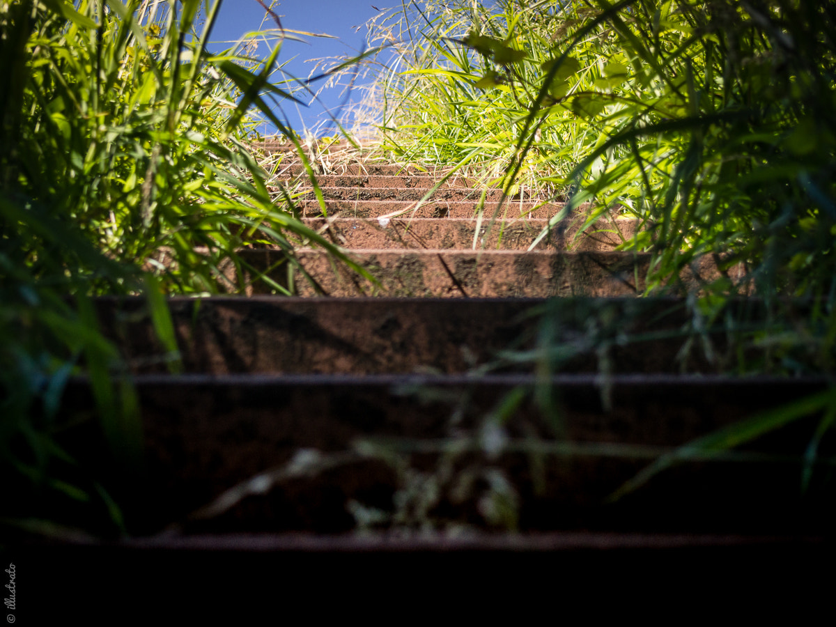 Olympus M.Zuiko Digital 14-42mm F3.5-5.6 II R sample photo. Stairway to summer photography