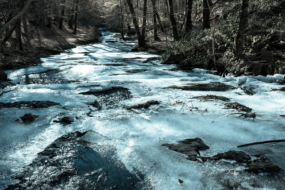 Nikon D610 + Nikon AF-S Nikkor 35mm F1.8G ED sample photo. Glace photography