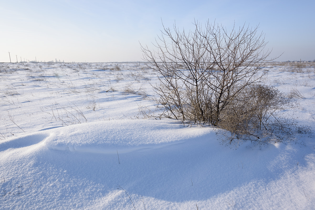 Nikon AF-S Nikkor 24mm F1.4G ED sample photo. ..was extremely cold. photography
