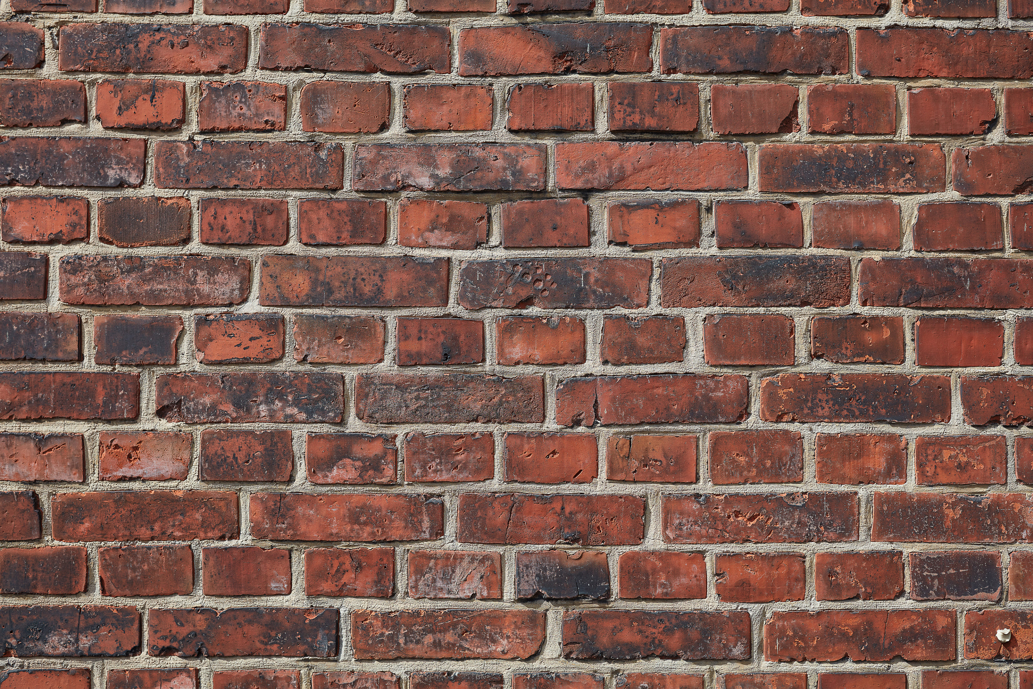 Sigma 35mm F1.4 DG HSM Art sample photo. Stone wall texture photography