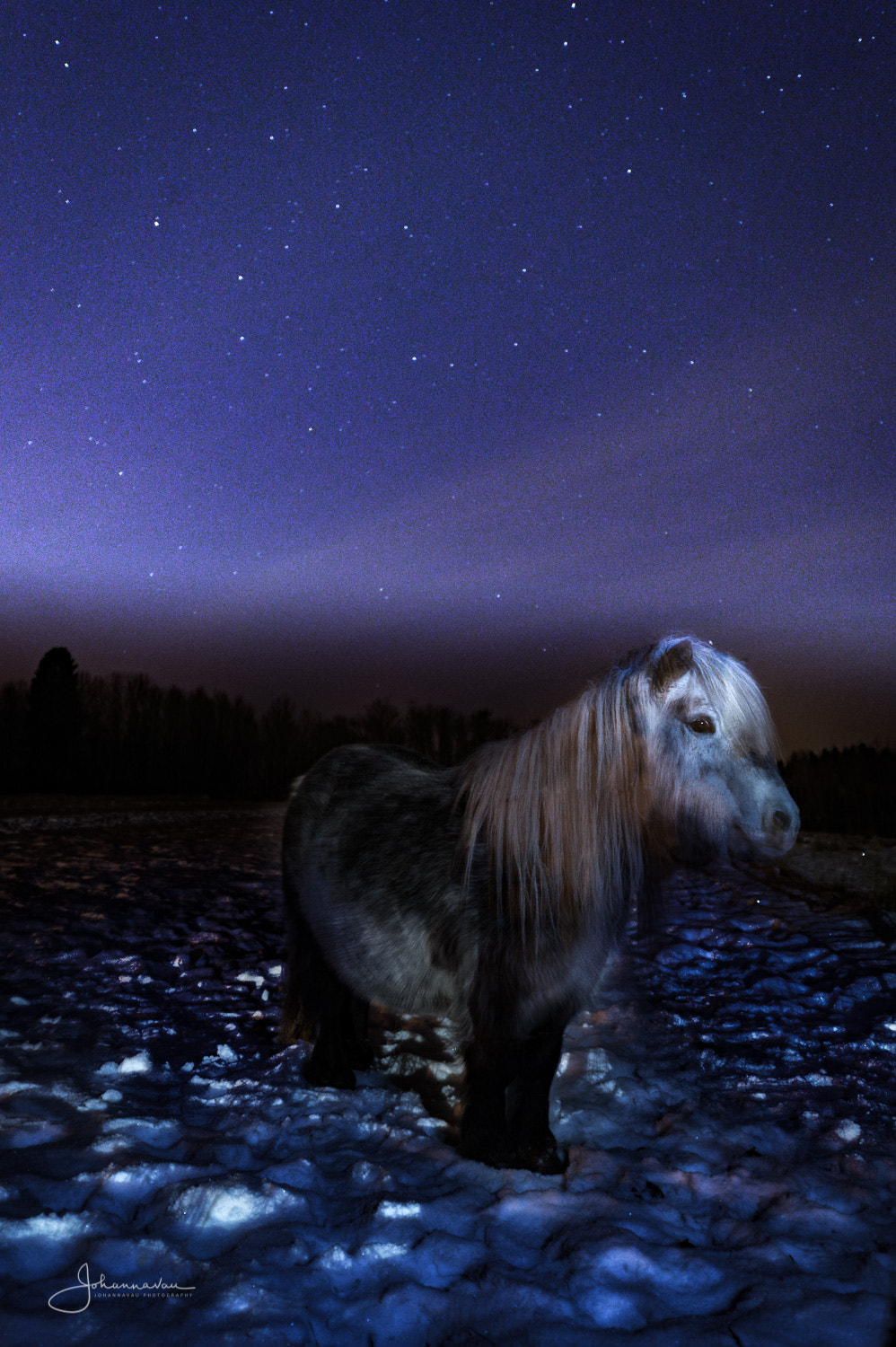 Nikon D4S sample photo. Under the stars photography