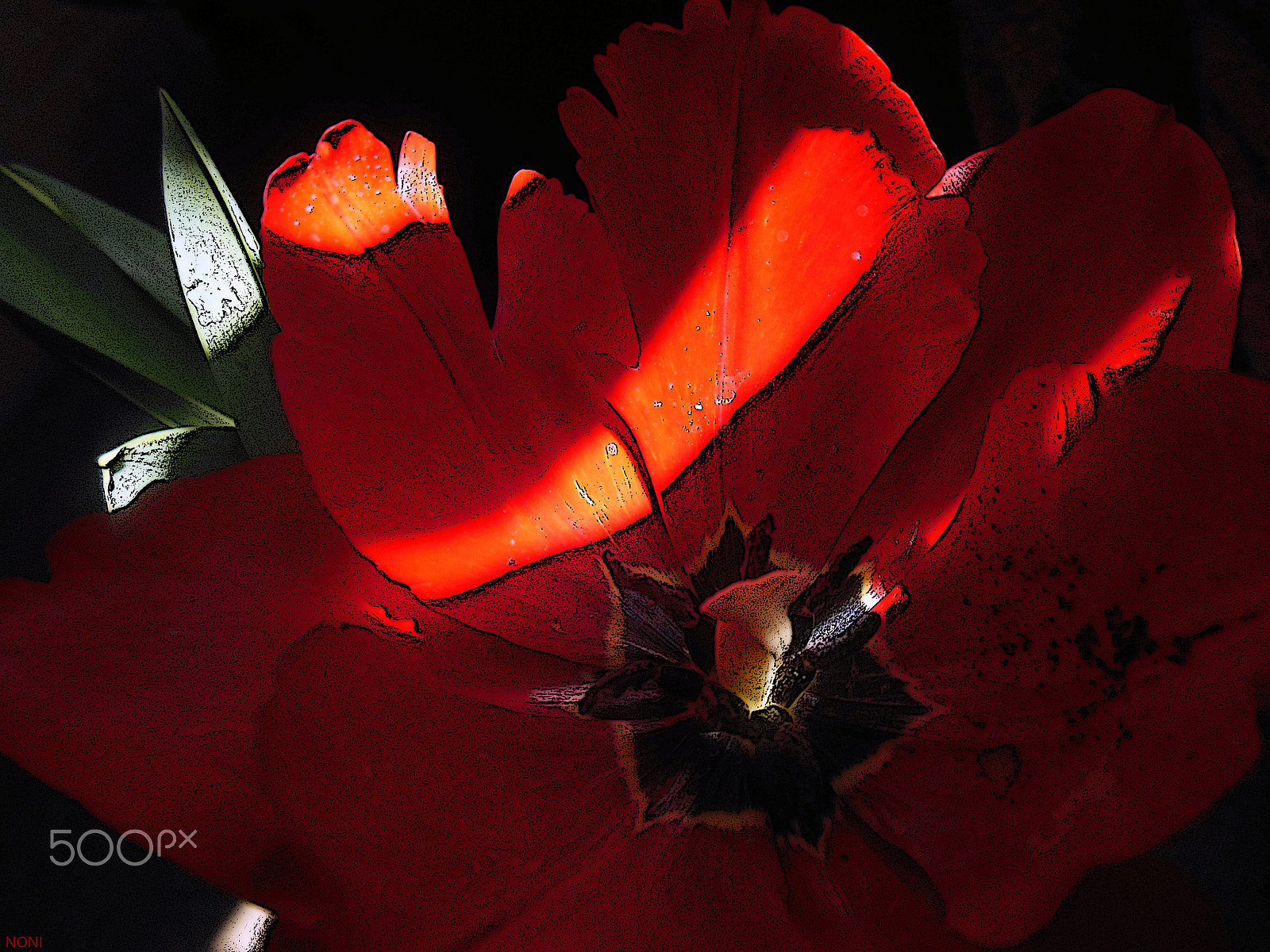 Nikon Coolpix S6300 sample photo. Ku photography