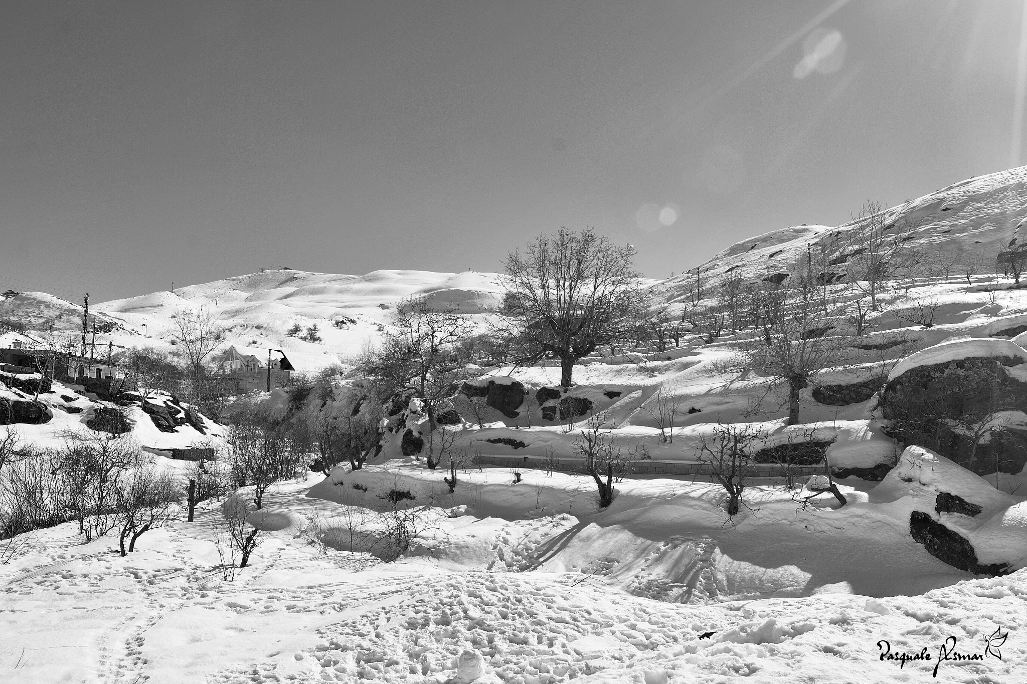 Canon EF 16-35mm F2.8L II USM sample photo. Black & white snow photography