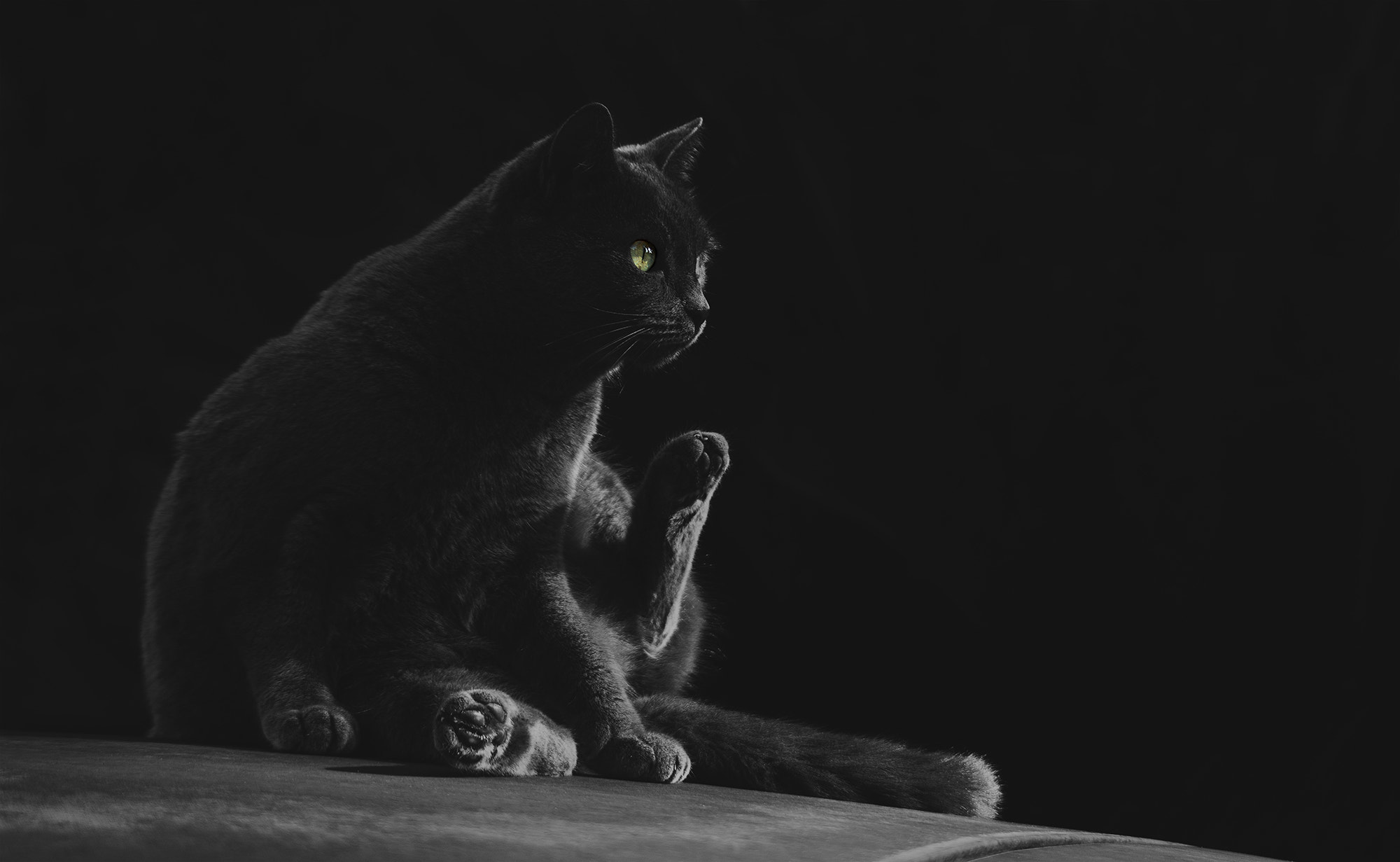 Canon EOS 60D sample photo. Smoky photography