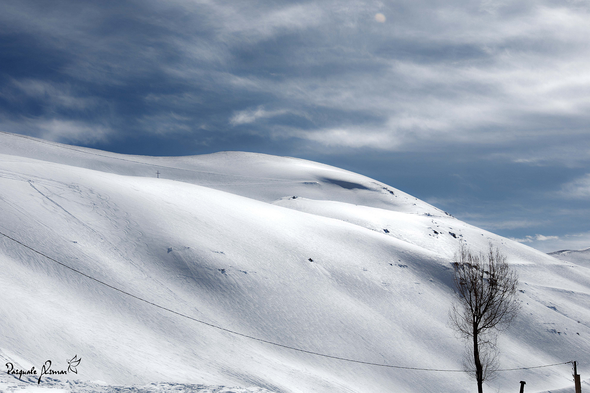 Canon EF 16-35mm F2.8L II USM sample photo. Lonely tree photography