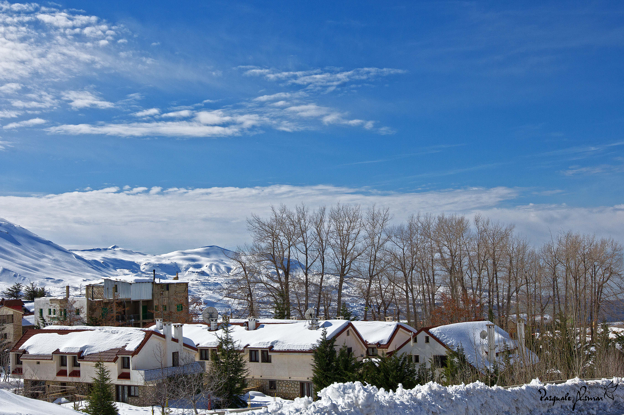 Canon EF 16-35mm F2.8L II USM sample photo. Under the rooftop photography