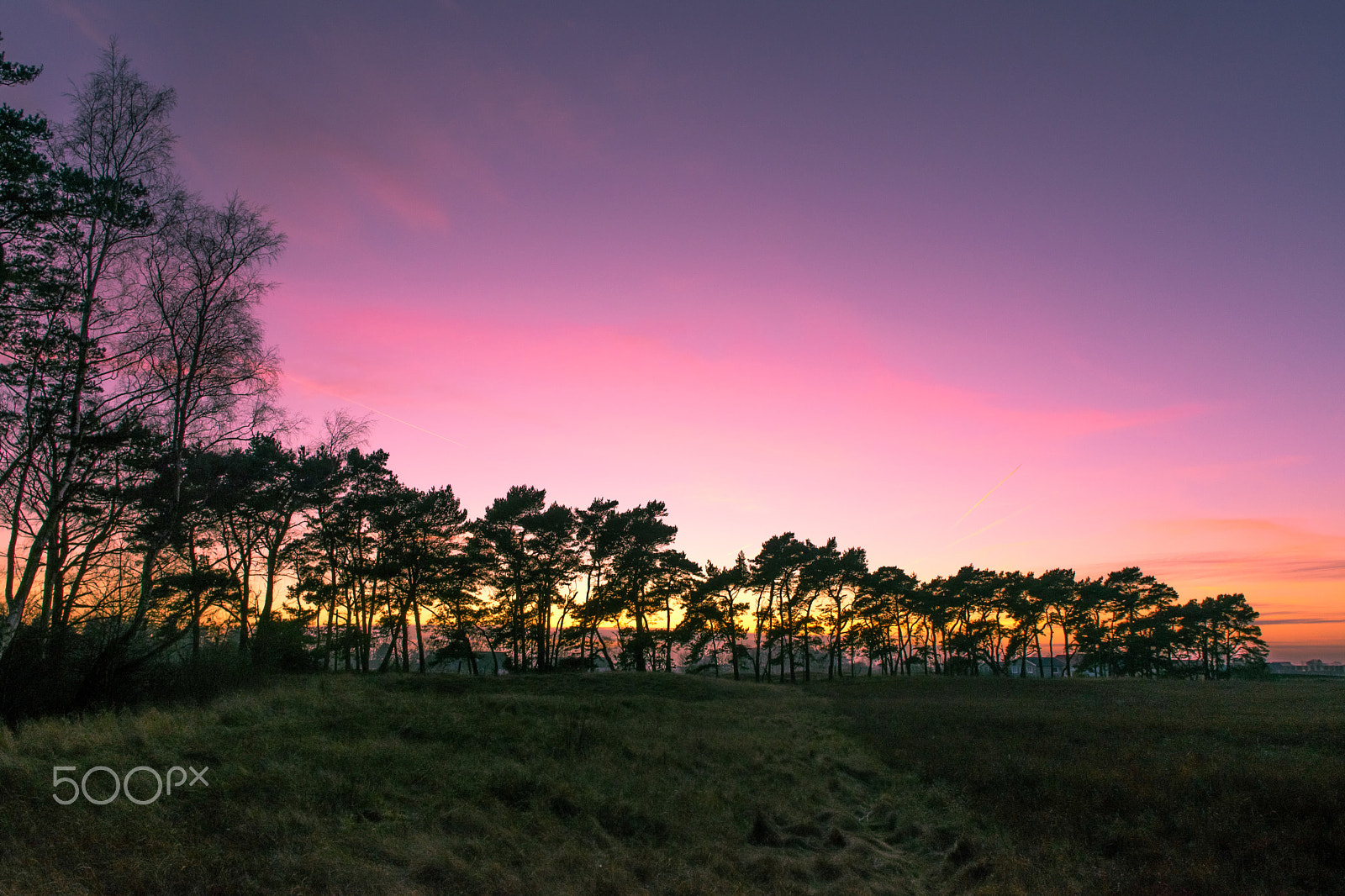 Sigma 17-70mm F2.8-4 DC Macro OS HSM | C sample photo. Purple sunset photography