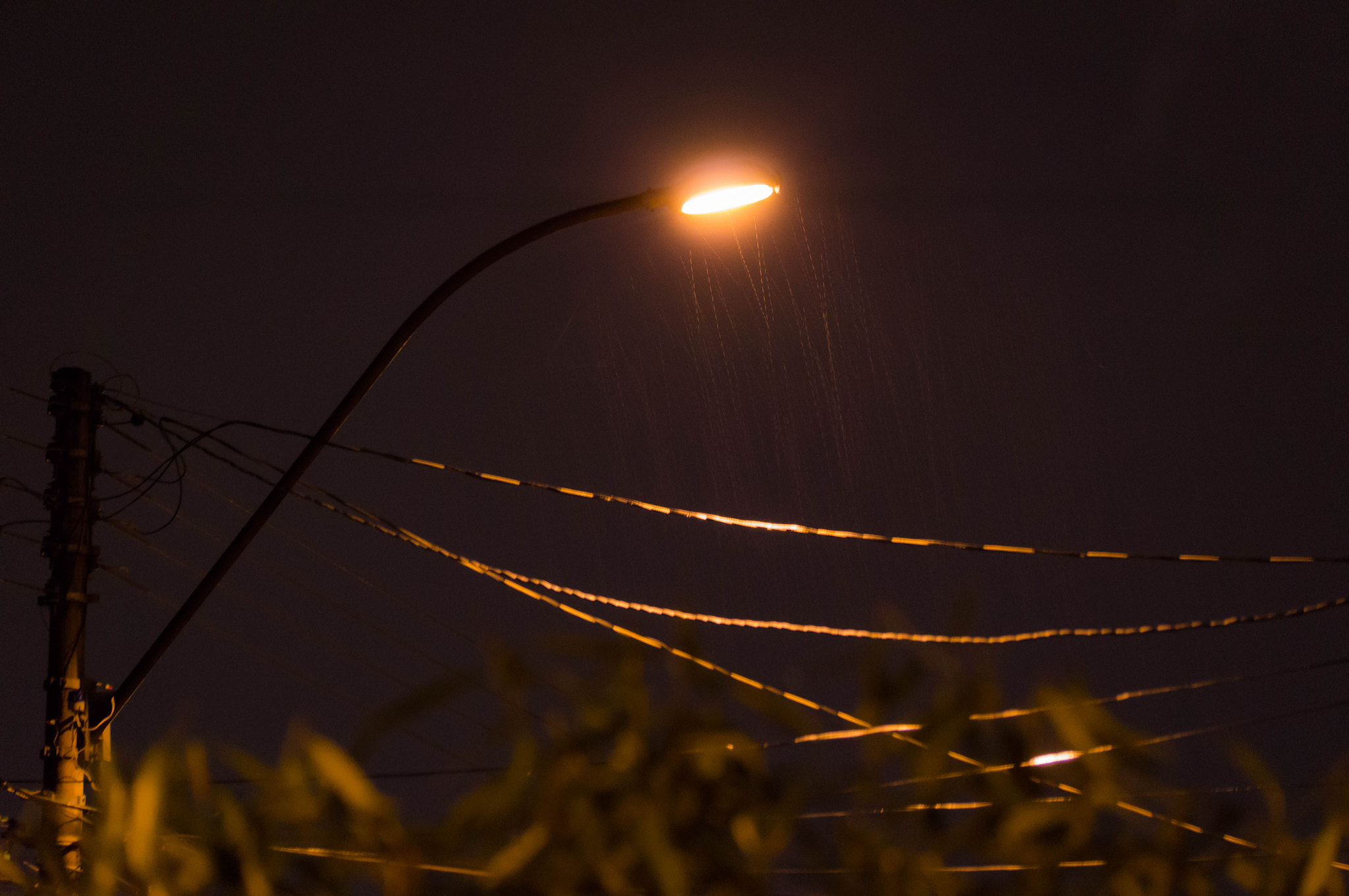 Sony SLT-A37 sample photo. Heavy rain photography