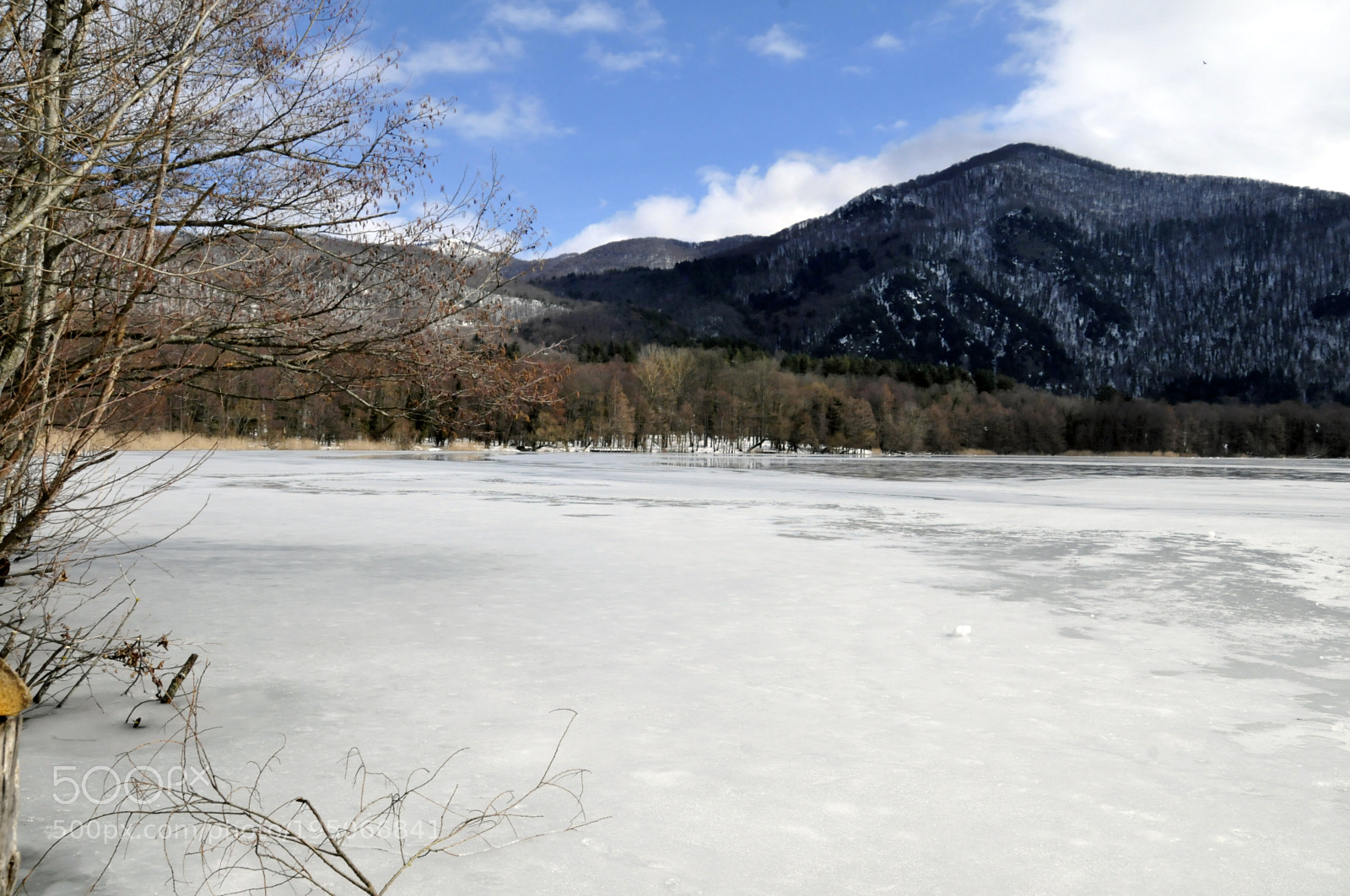Nikon D300S sample photo. The charm of the photography