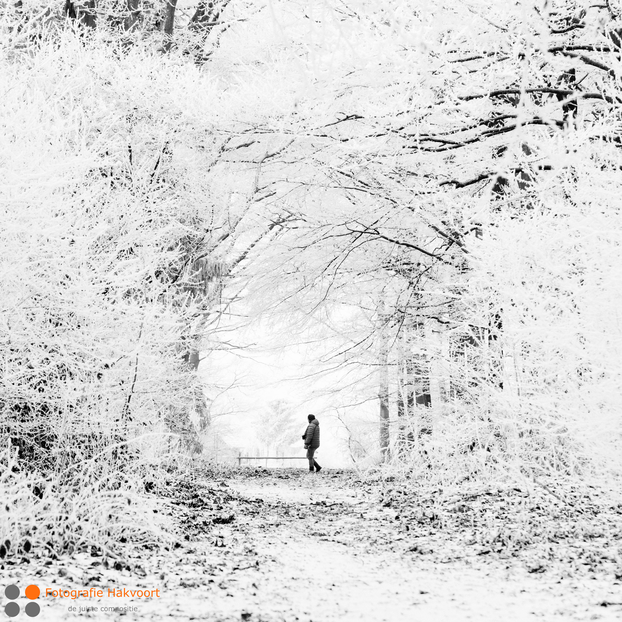 Sigma 70-200mm F2.8 EX DG OS HSM sample photo. Winterwonderland photography