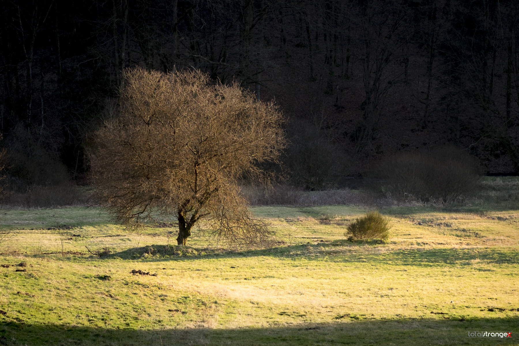 Fujifilm X-T10 + Fujifilm XF 18-135mm F3.5-5.6 R LM OIS WR sample photo. Hafenlohrtal ii photography