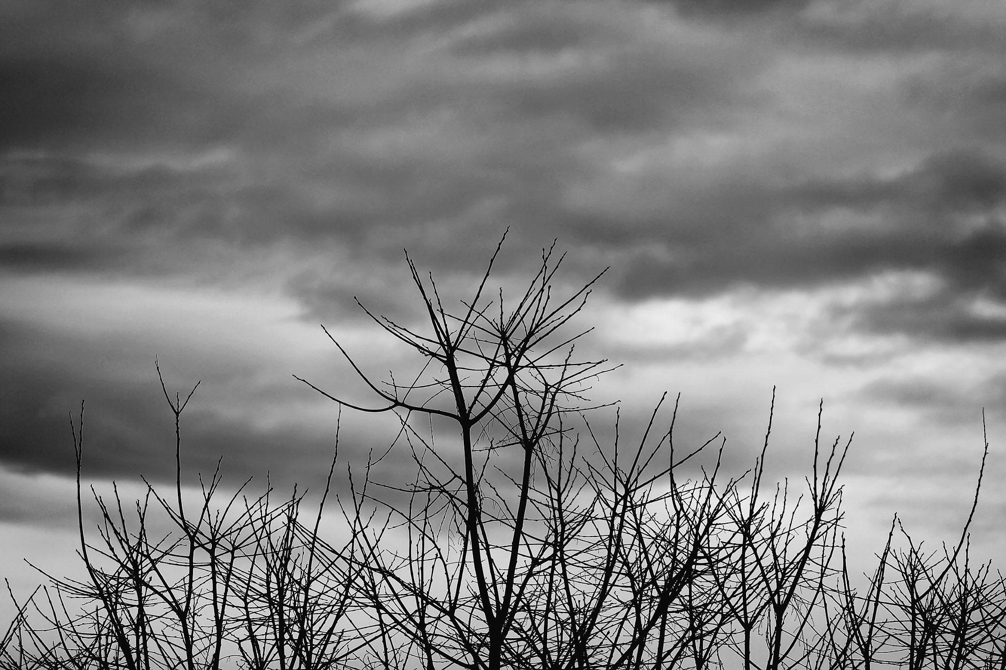 Canon EOS 50D sample photo. Winter photography