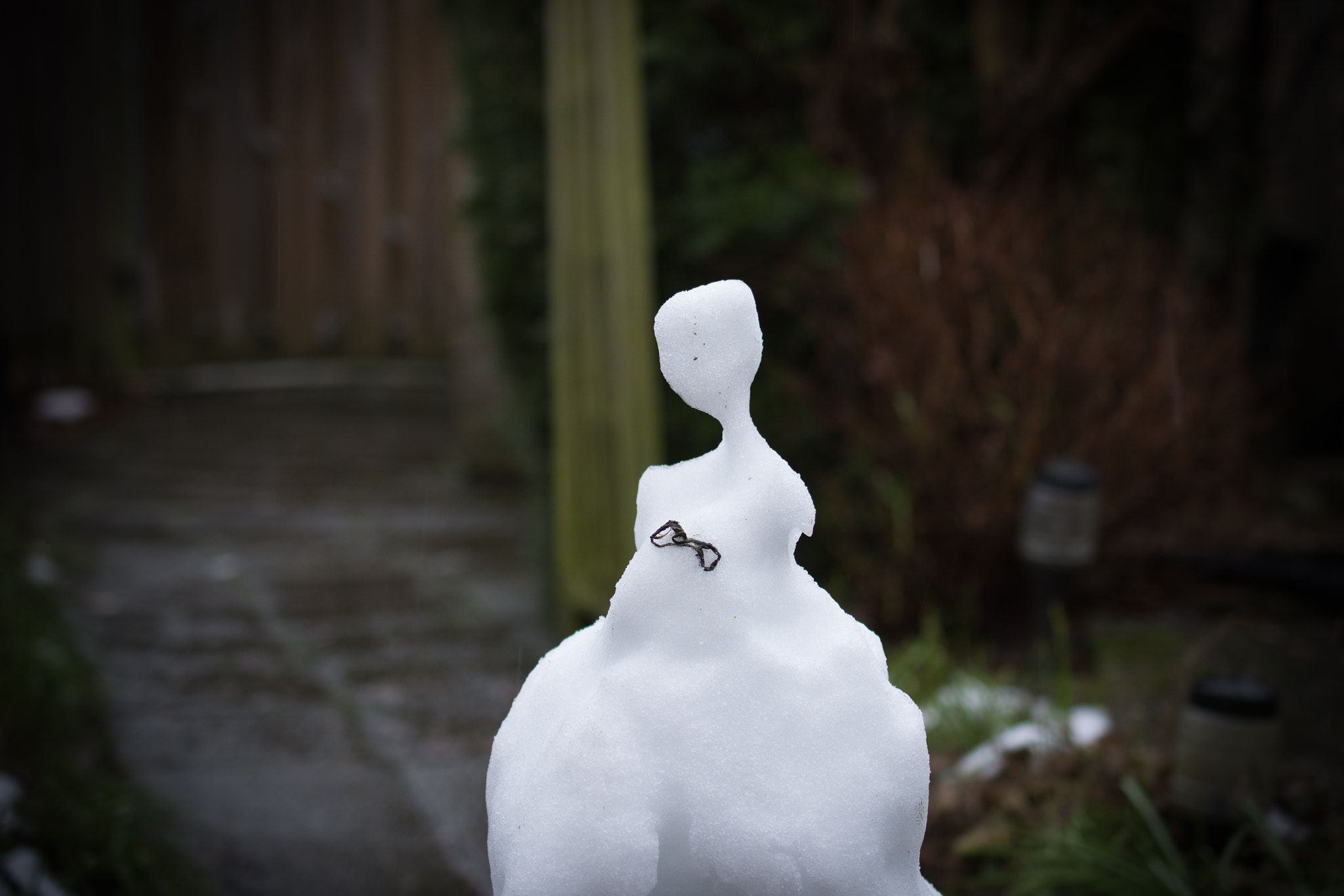 Nikon AF-S DX Micro Nikkor 40mm F2.8 sample photo. Natural snow sculpture photography