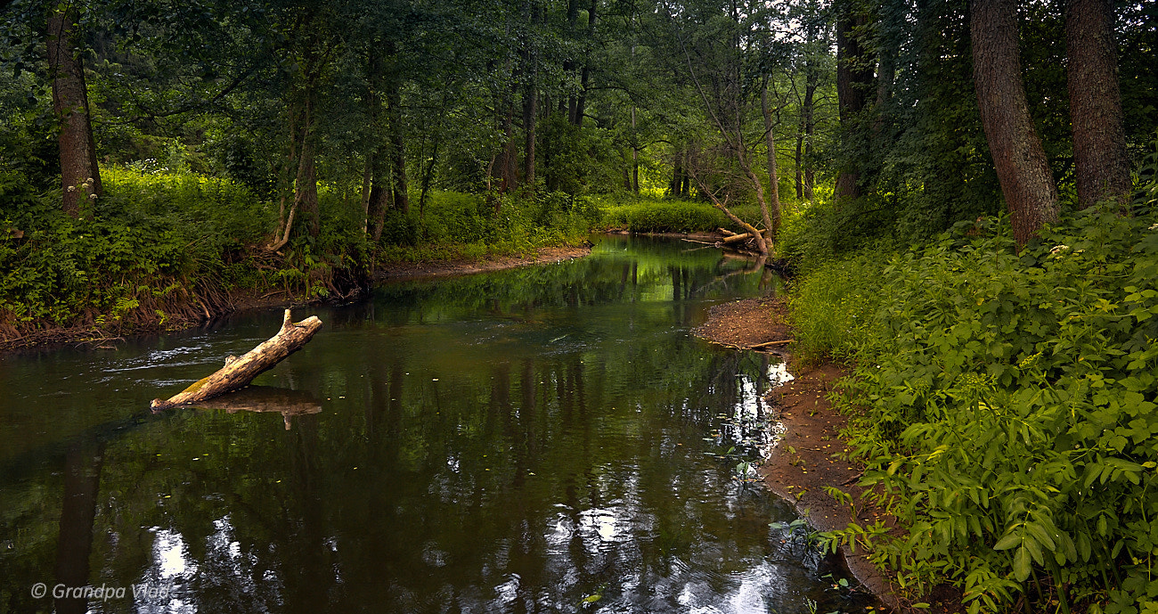 Canon EOS 1100D (EOS Rebel T3 / EOS Kiss X50) sample photo. The small river... photography