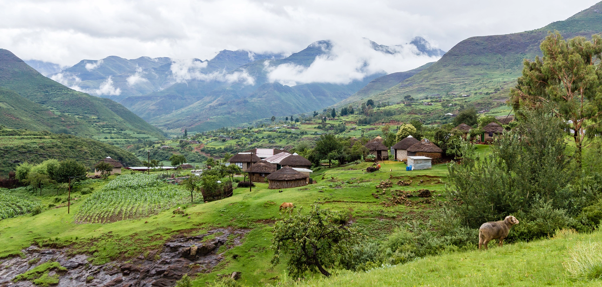 Canon EF-S 10-22mm F3.5-4.5 USM sample photo. Village in lesotho photography