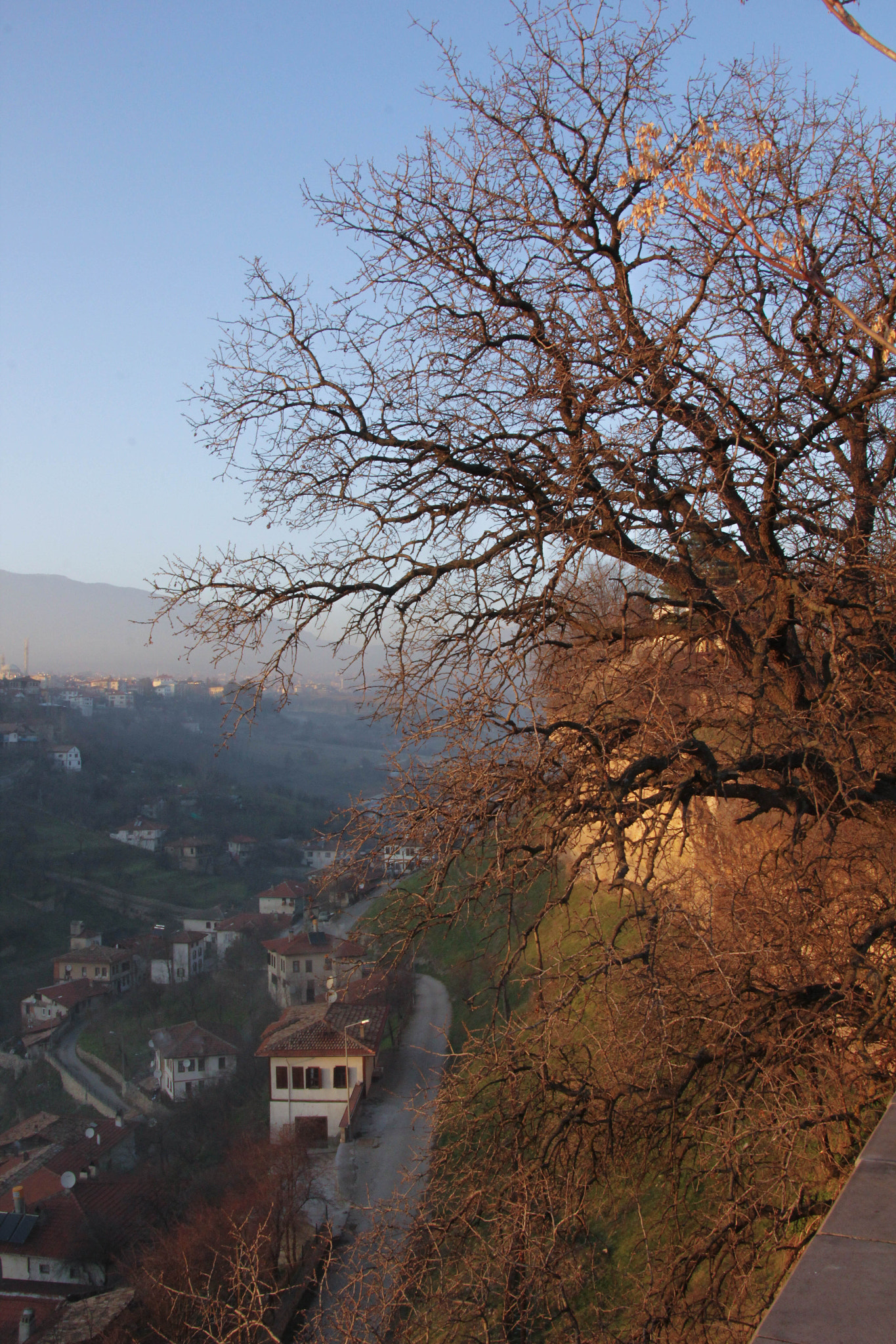 Canon EOS 60D sample photo. Img photography