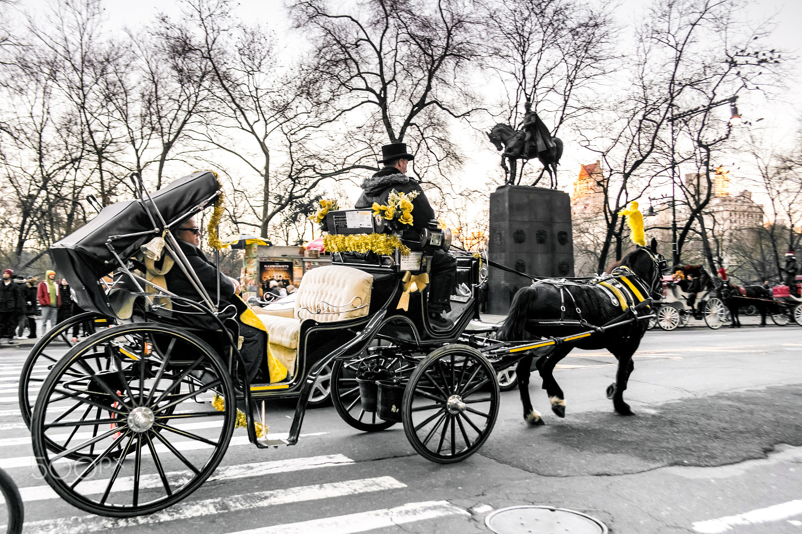 Samsung NX1000 + Samsung NX 20-50mm F3.5-5.6 ED sample photo. Horse carriage in central park photography