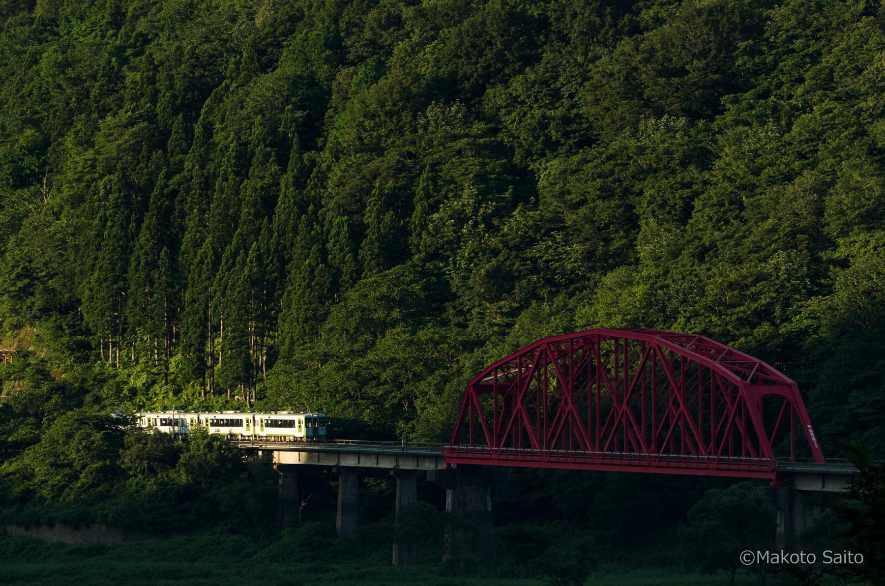 Pentax smc DA* 60-250mm F4.0 ED (IF) SDM sample photo. Spotlight photography
