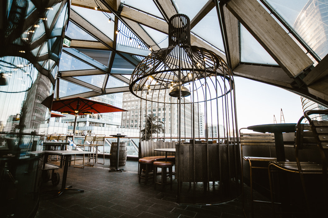 Sigma 10-20mm F3.5 EX DC HSM sample photo. Nest photography