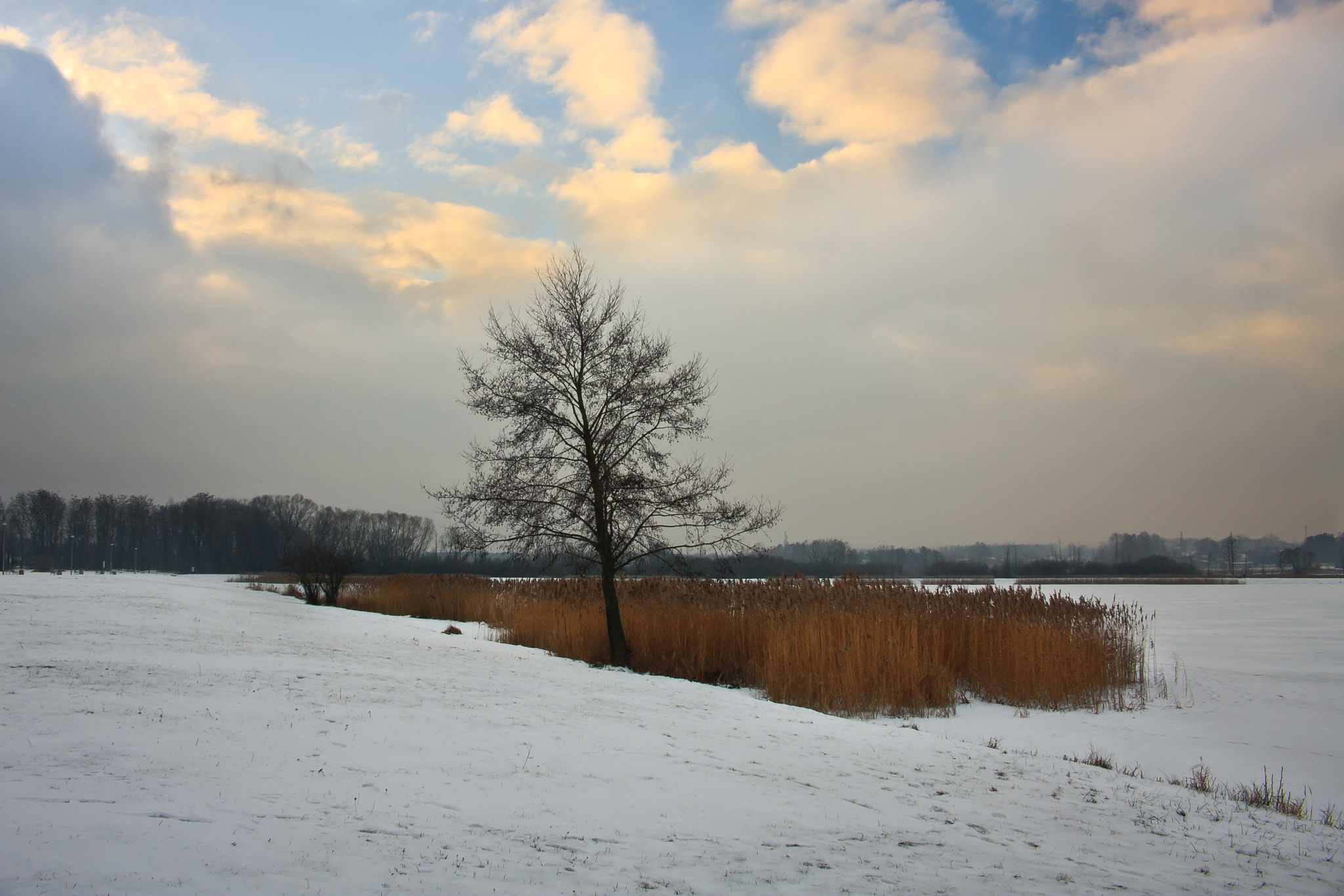 Canon EOS 40D sample photo. Winter photography