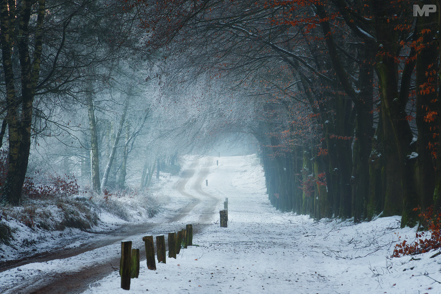 Sony E 18-200mm F3.5-6.3 OSS sample photo. Winter road photography