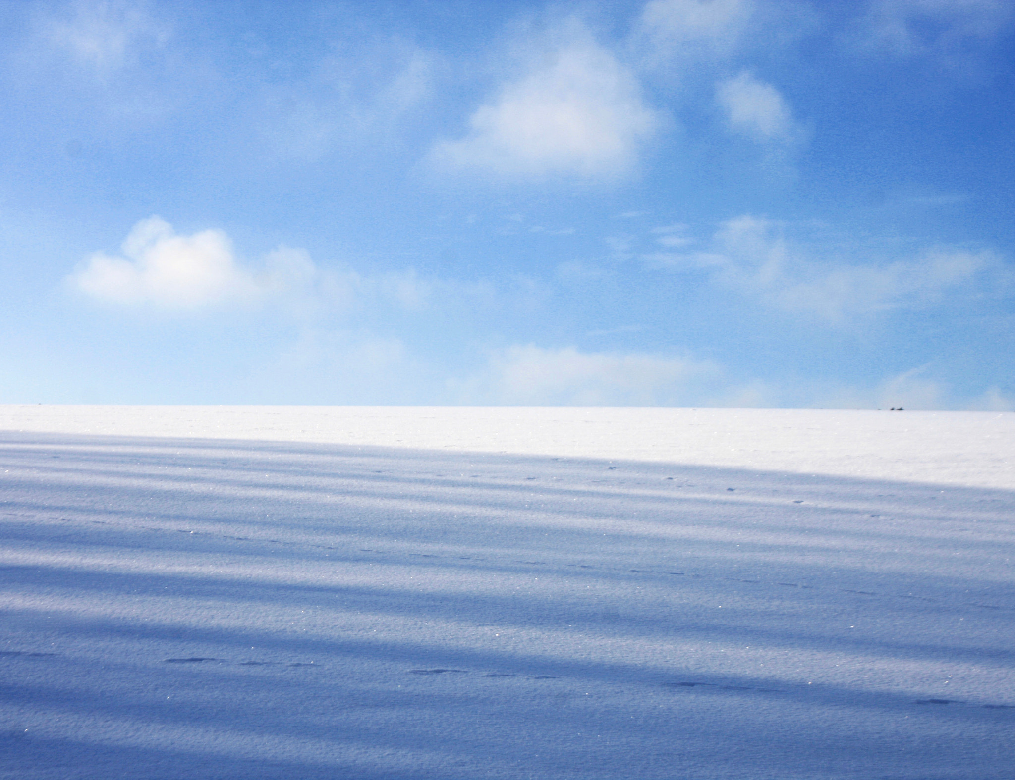 Canon EF-S 18-55mm F3.5-5.6 II sample photo. Abstracts in sno w1364 photography